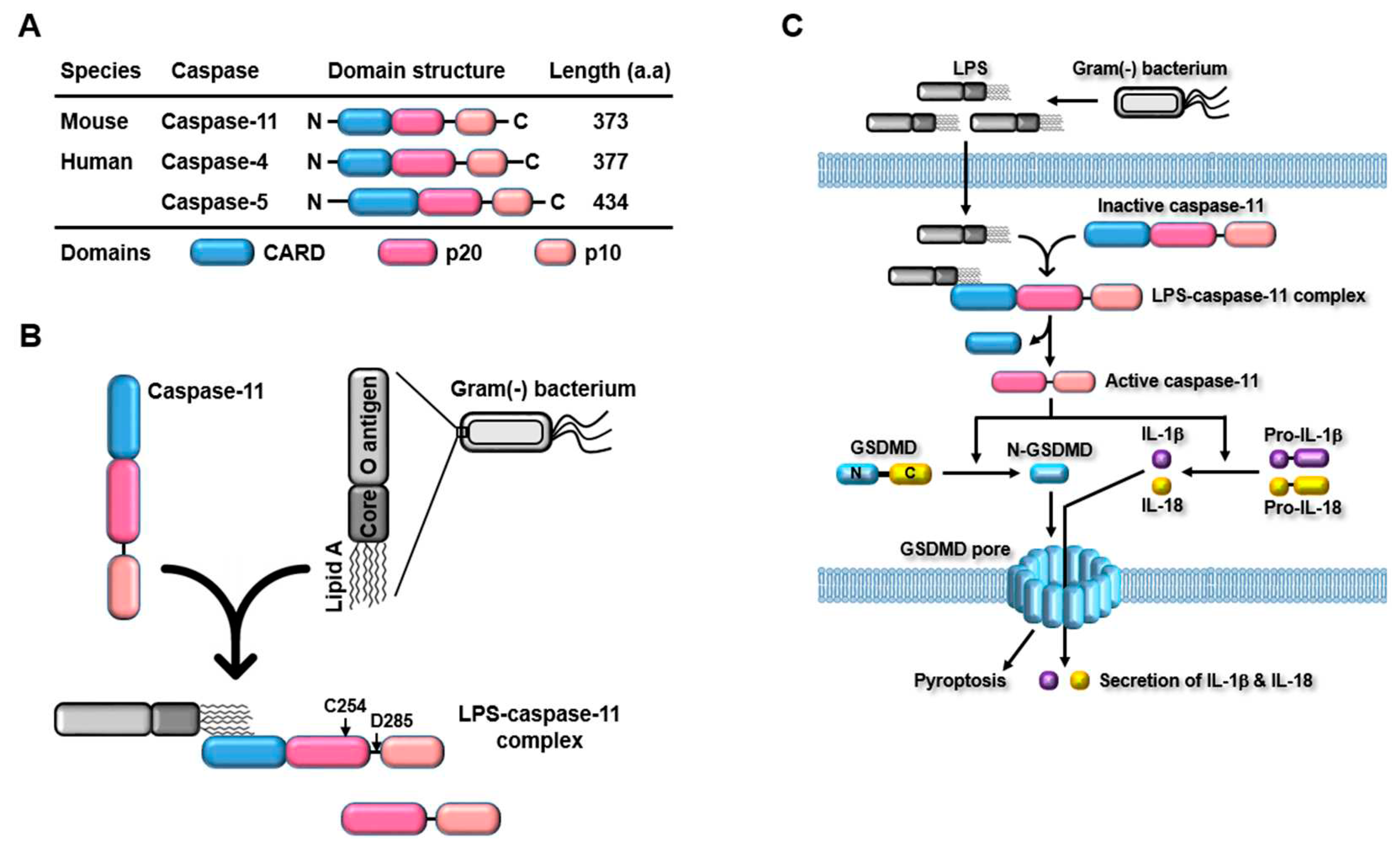 Preprints 76084 g002