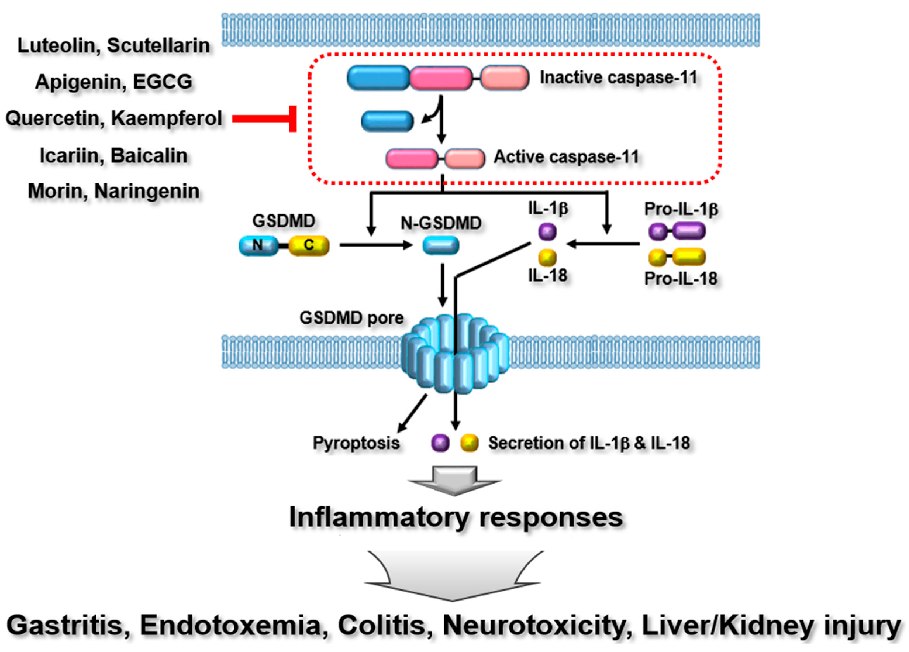 Preprints 76084 g004