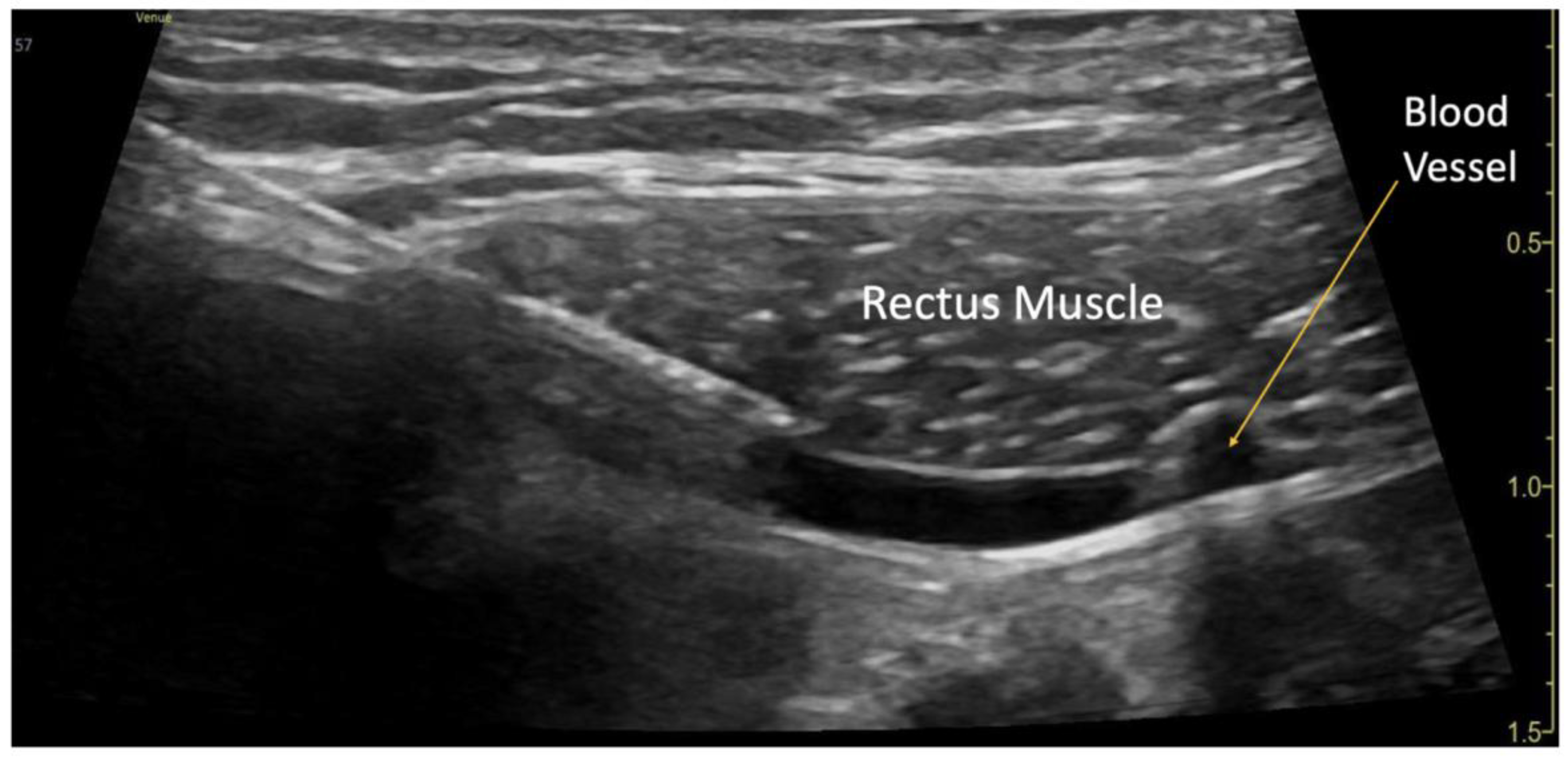 Preprints 179350 g001