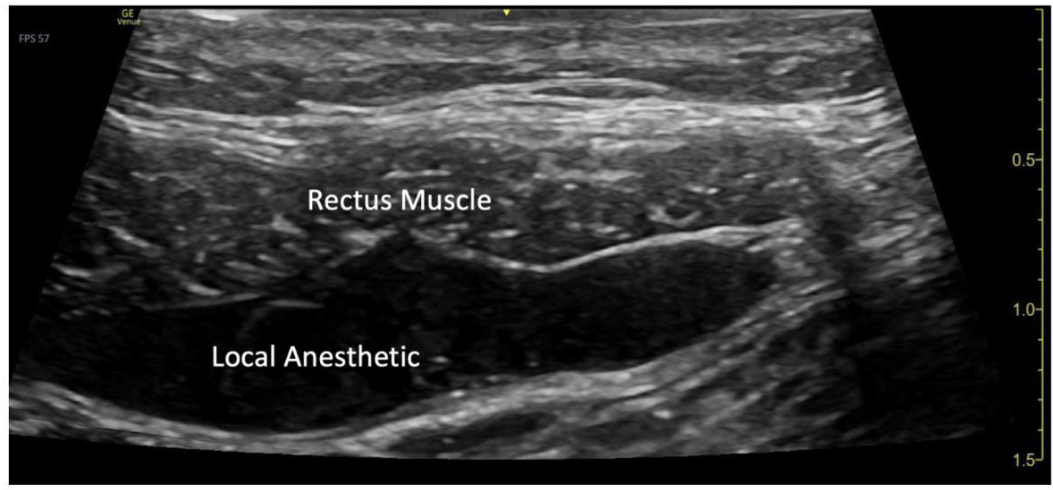Preprints 179350 g002