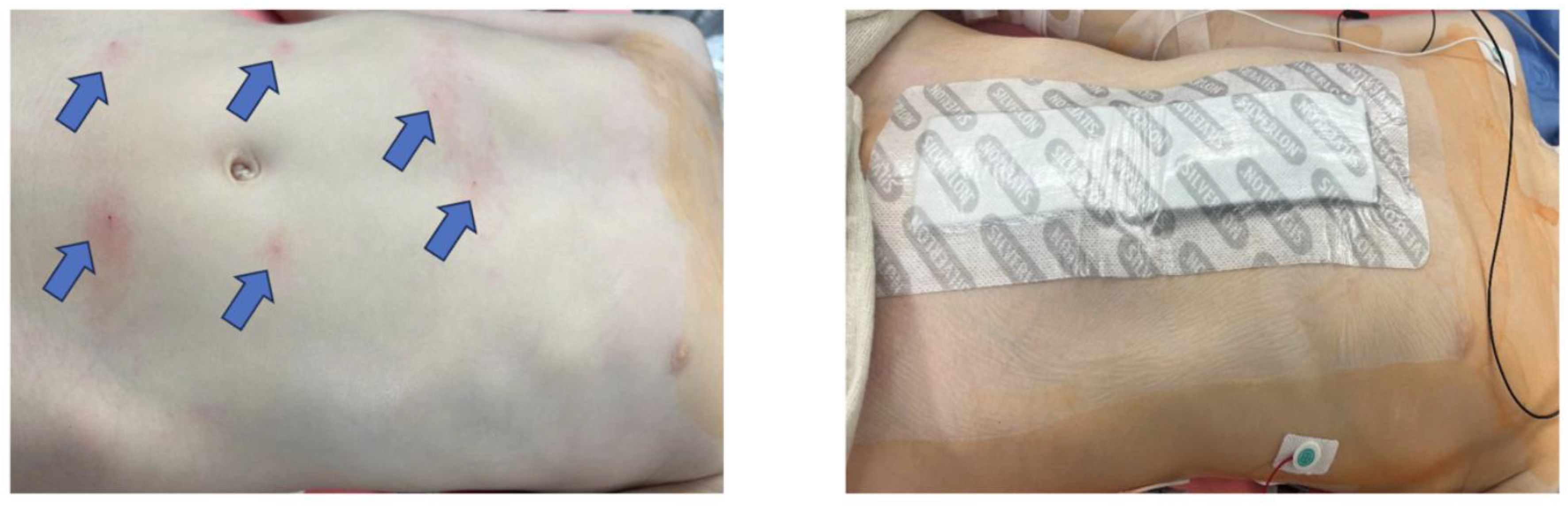 Preprints 179350 g003