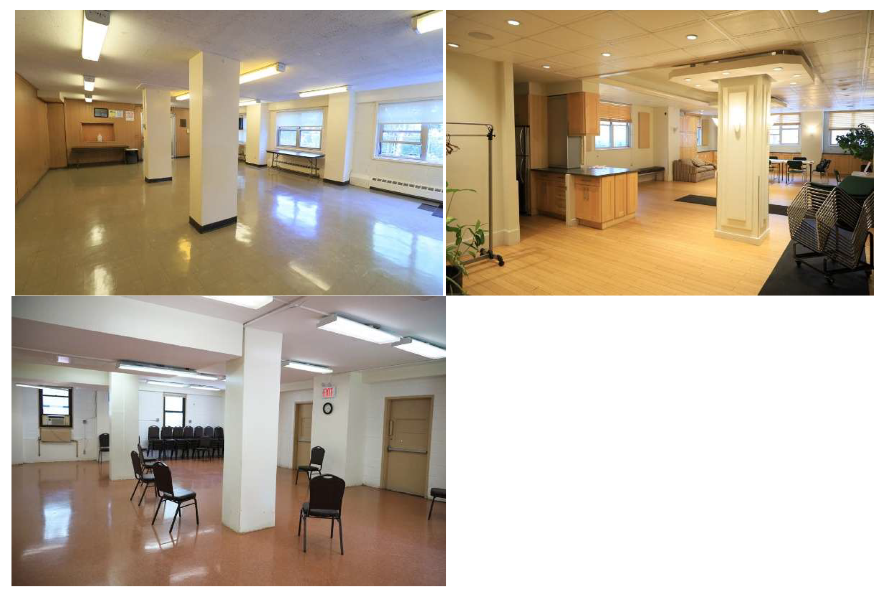 Preprints 194907 g004