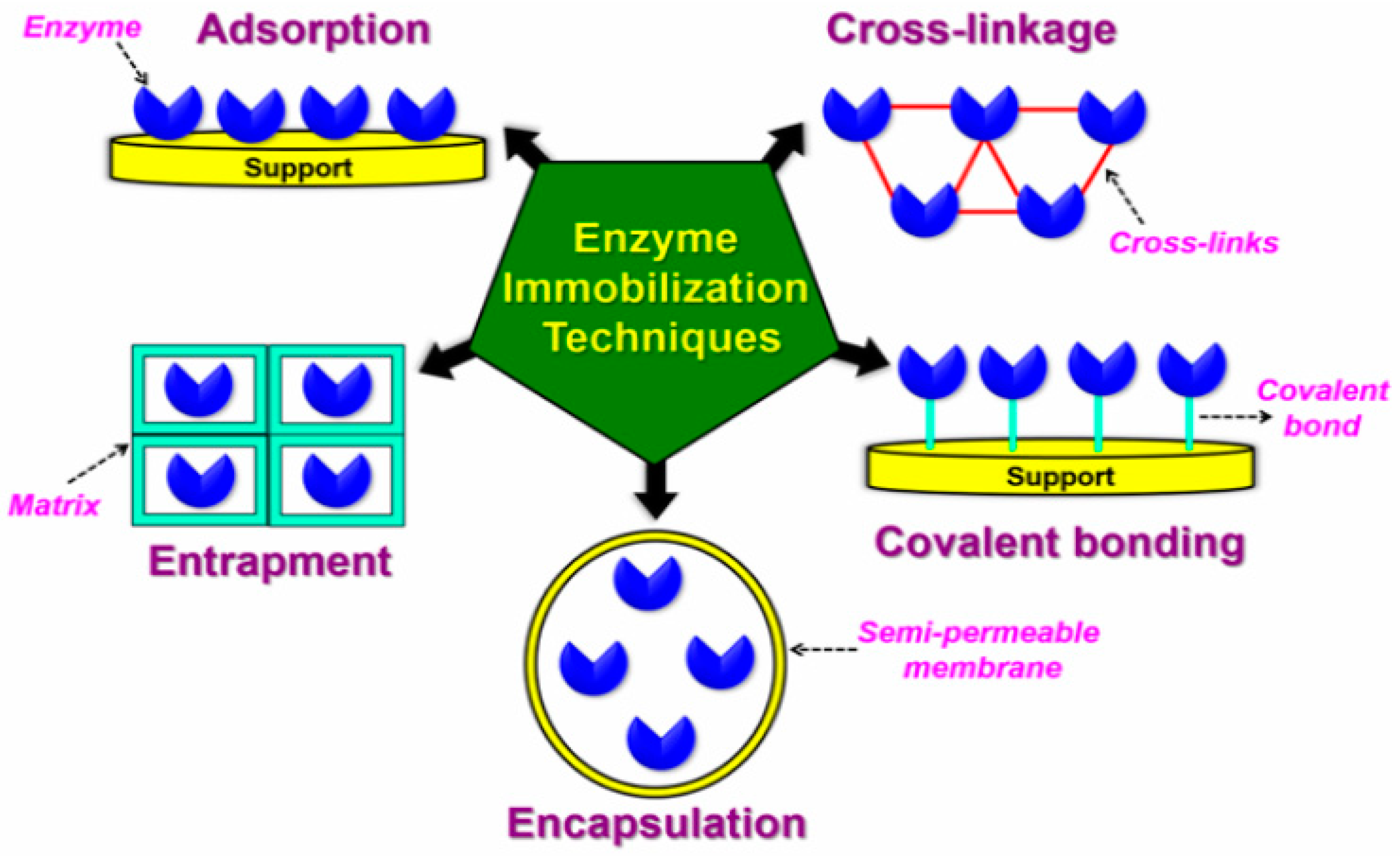 Preprints 151938 g002