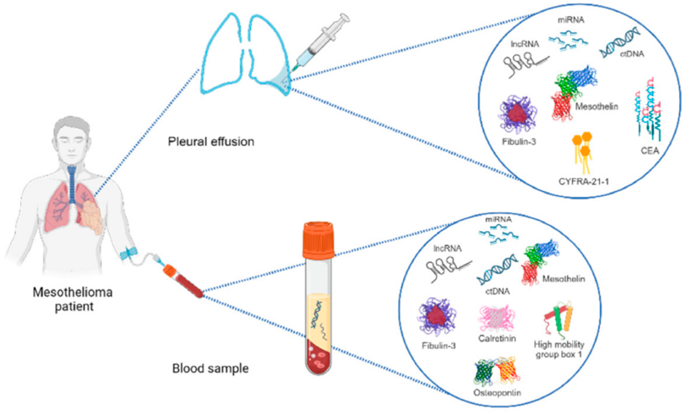 Preprints 151938 g003