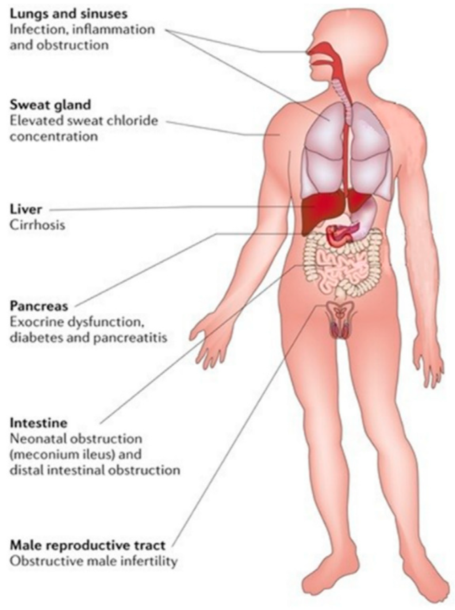 Preprints 151938 g004