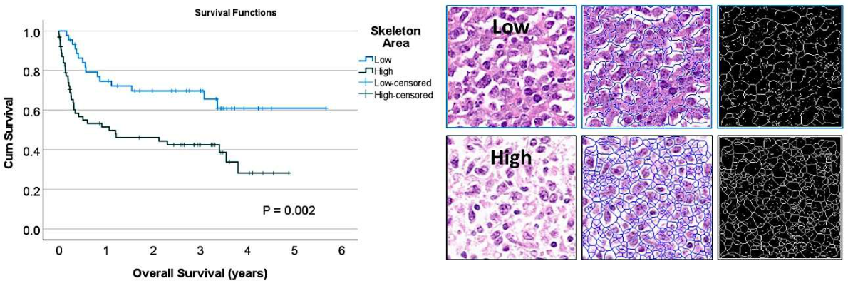 Preprints 220768 g003