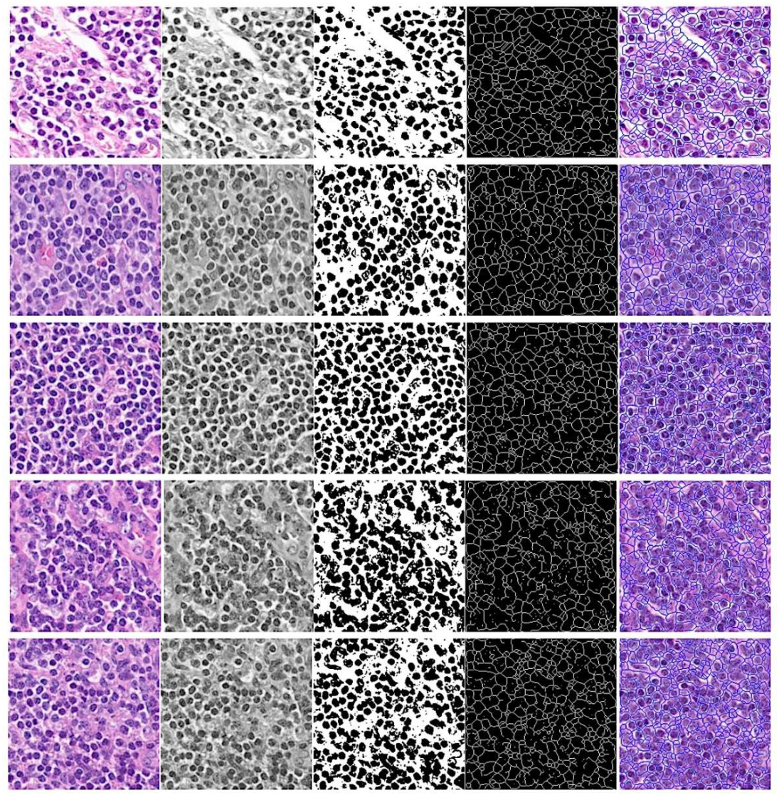 Preprints 220768 g004