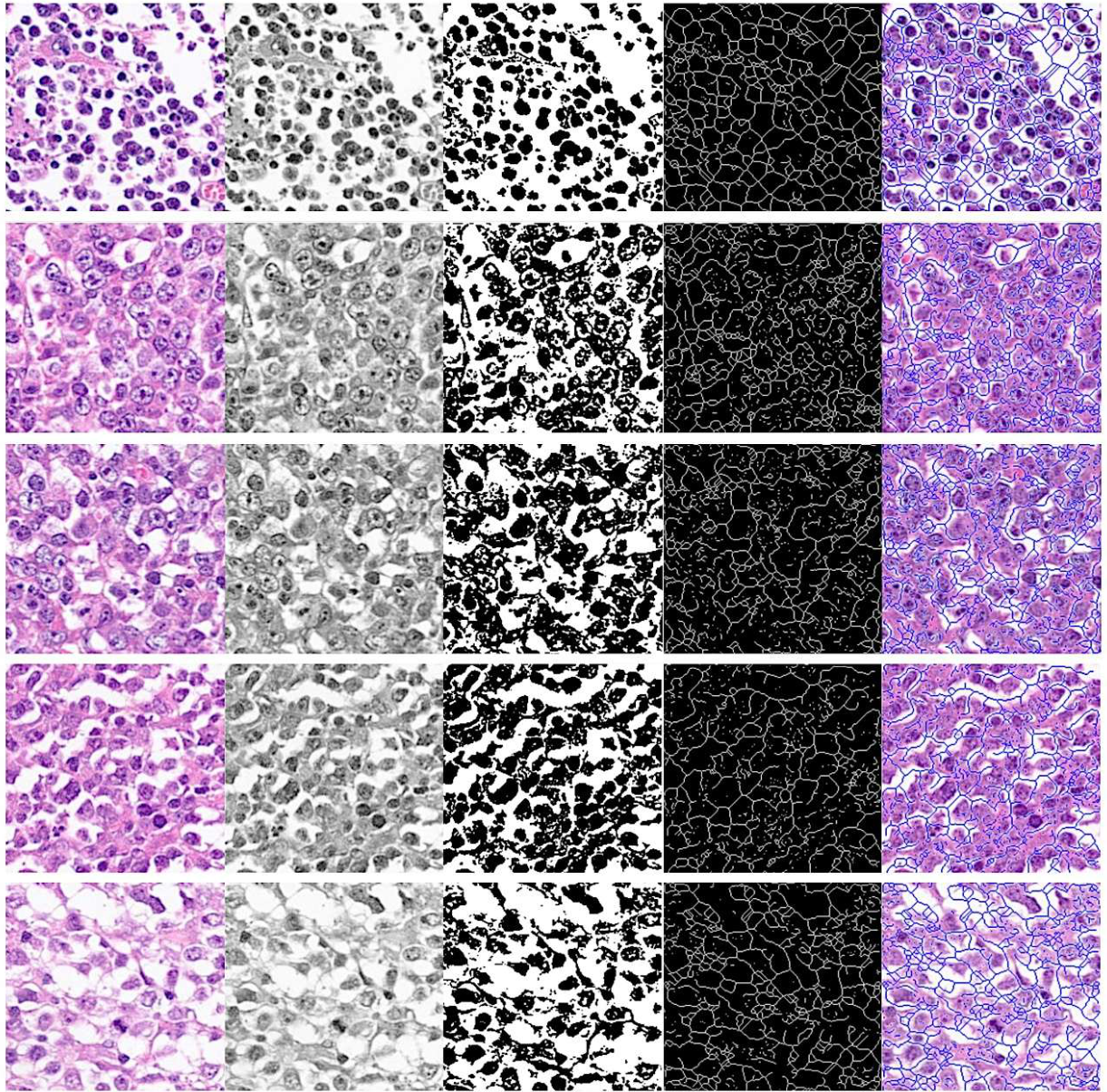Preprints 220768 g005