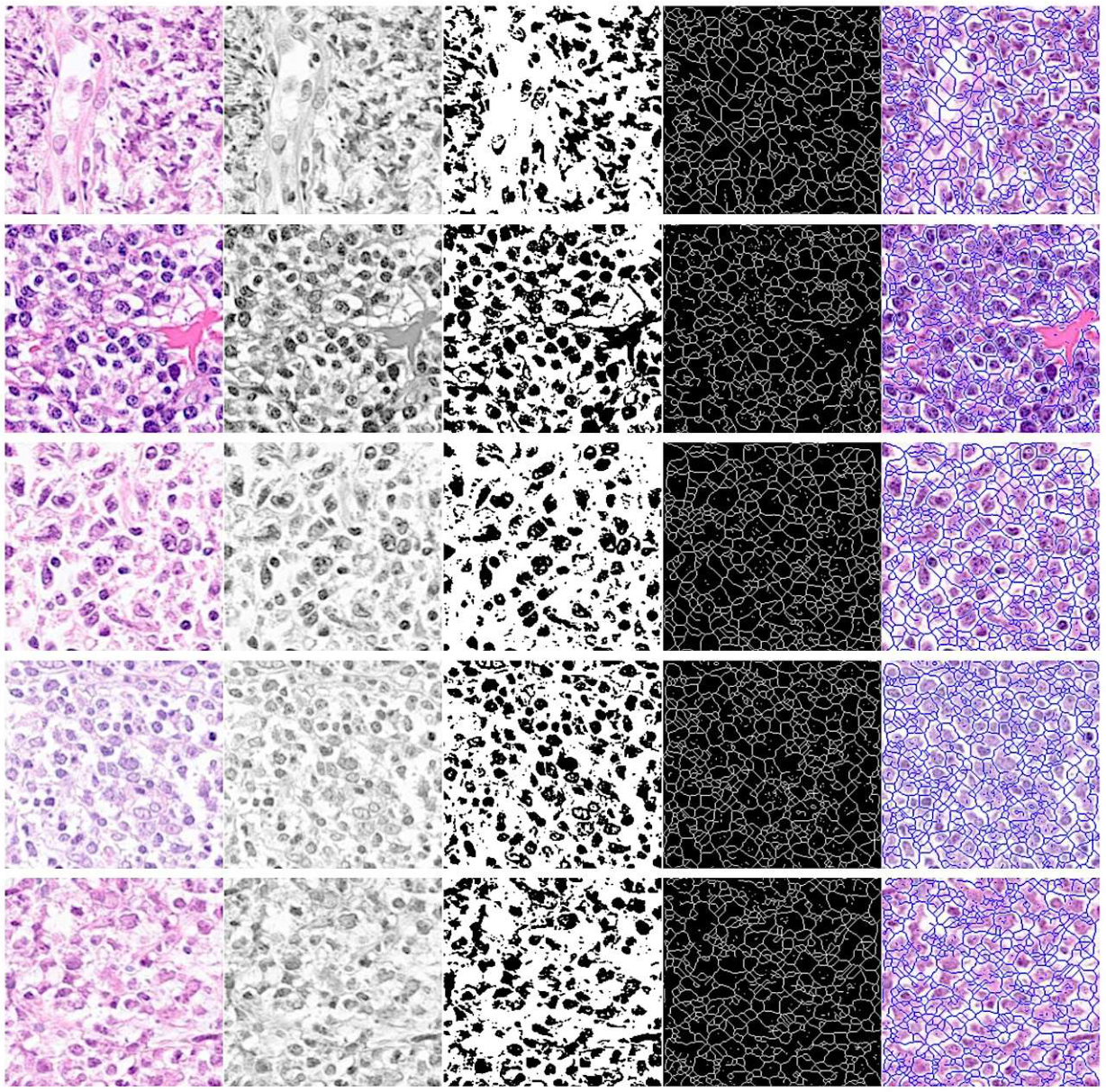 Preprints 220768 g006