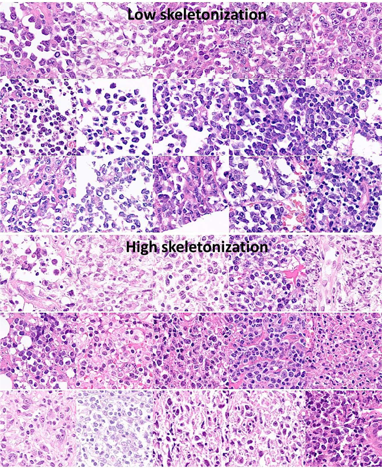 Preprints 220768 g007