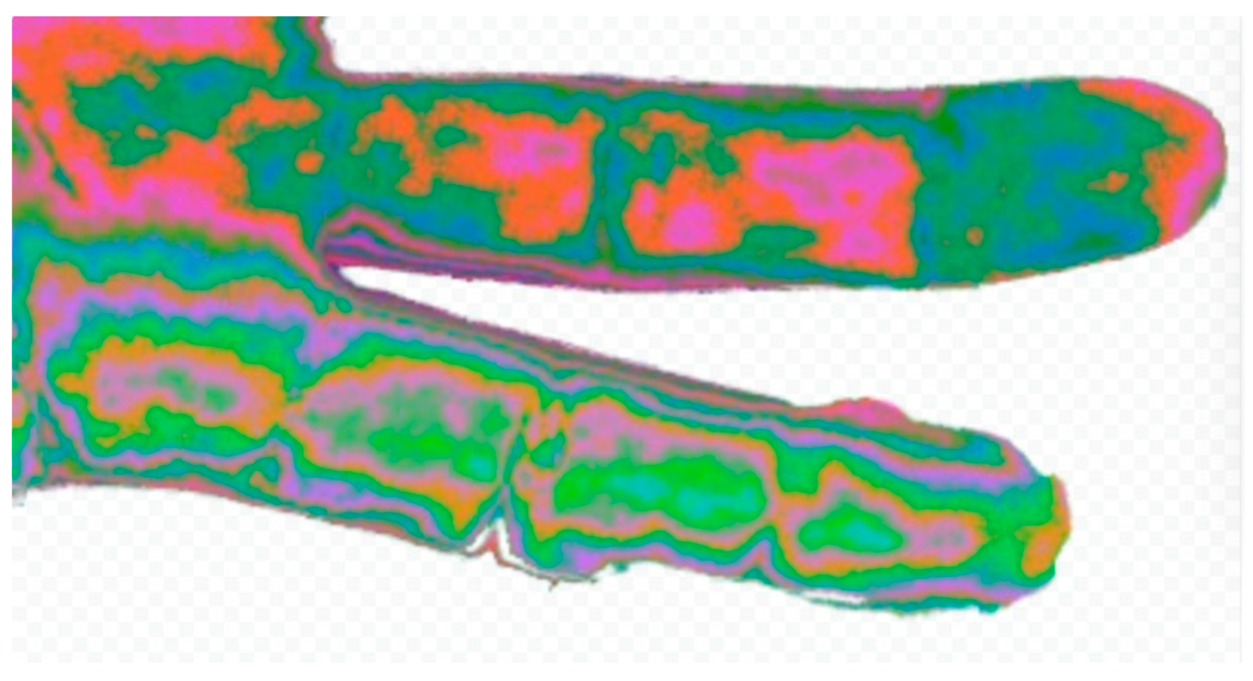 Preprints 155732 g003
