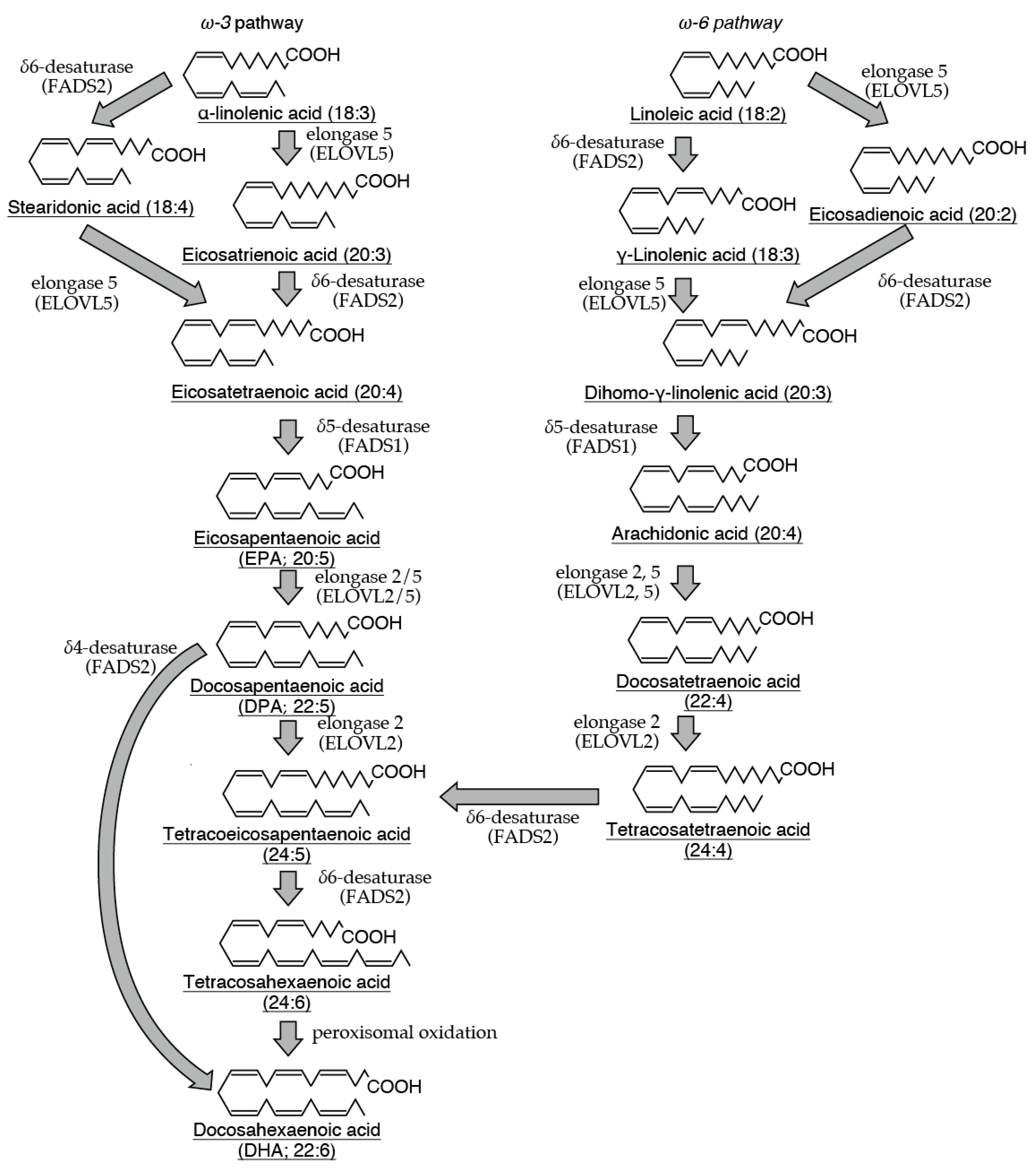 Preprints 146336 g001