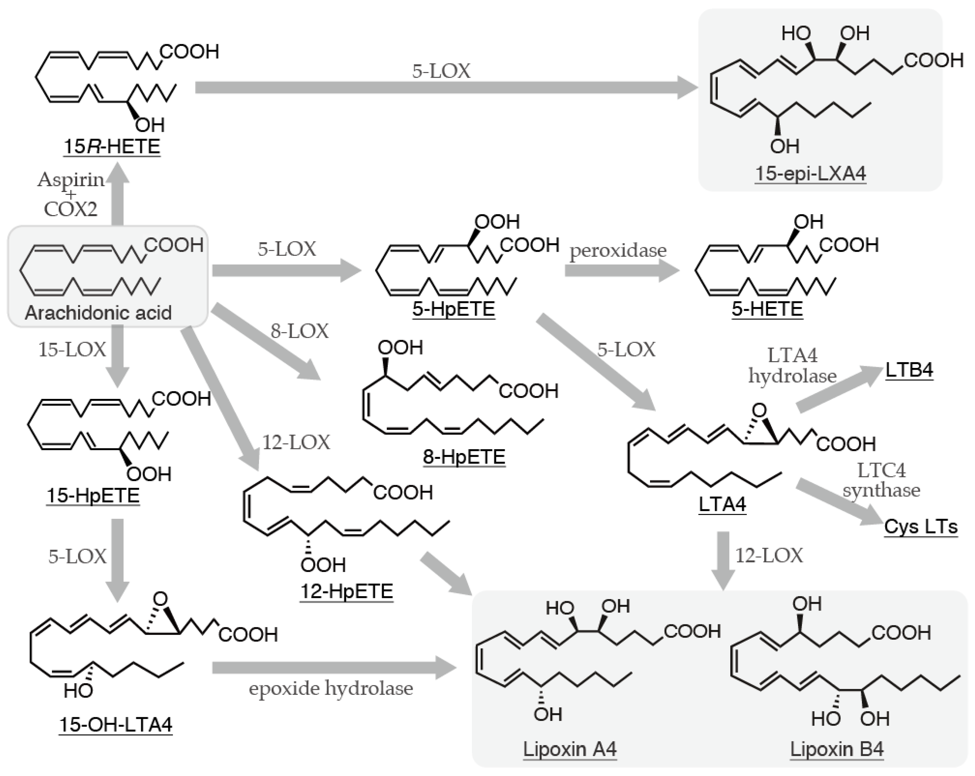 Preprints 146336 g002