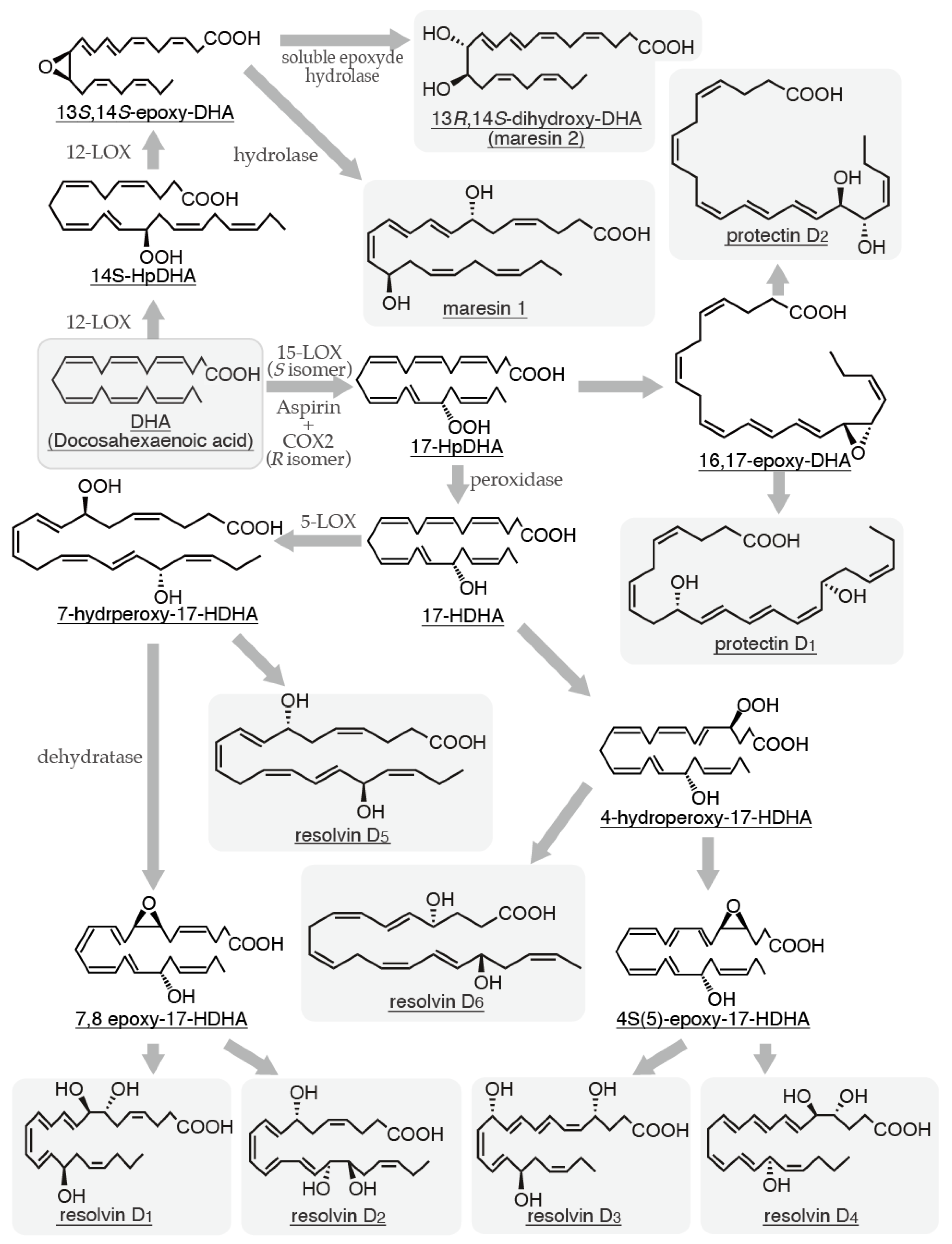 Preprints 146336 g003