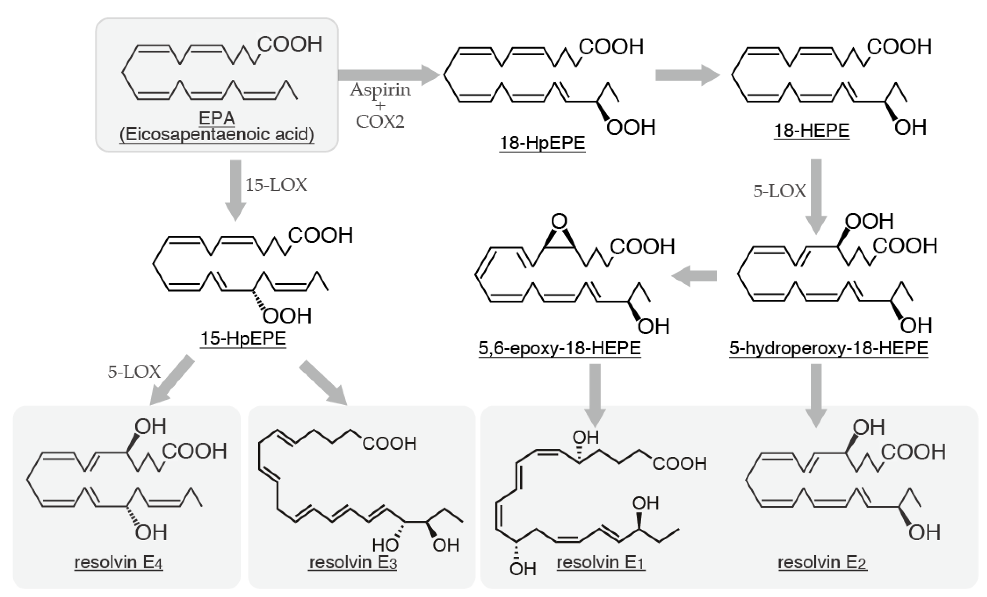 Preprints 146336 g004
