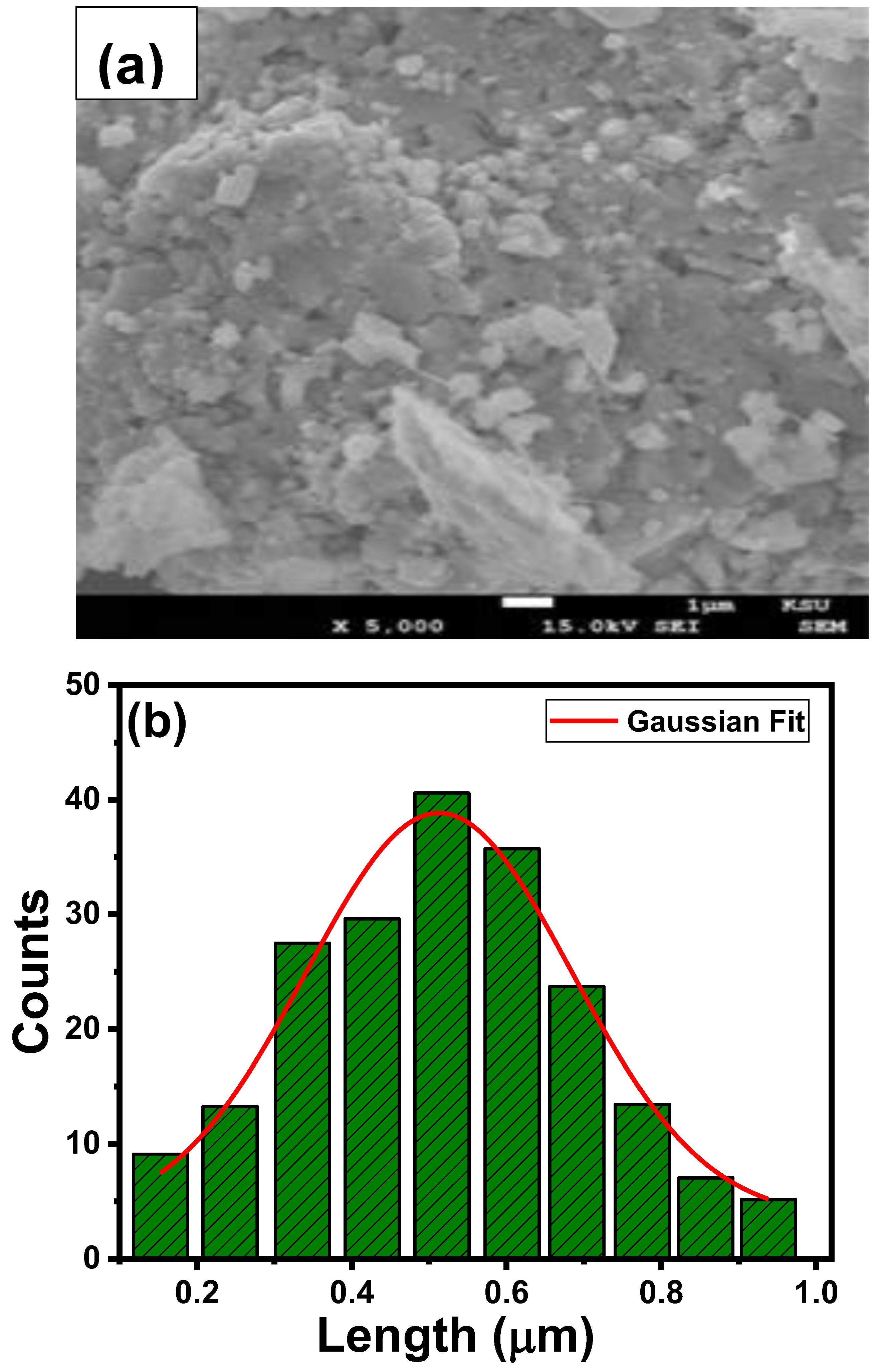 Preprints 145517 g005