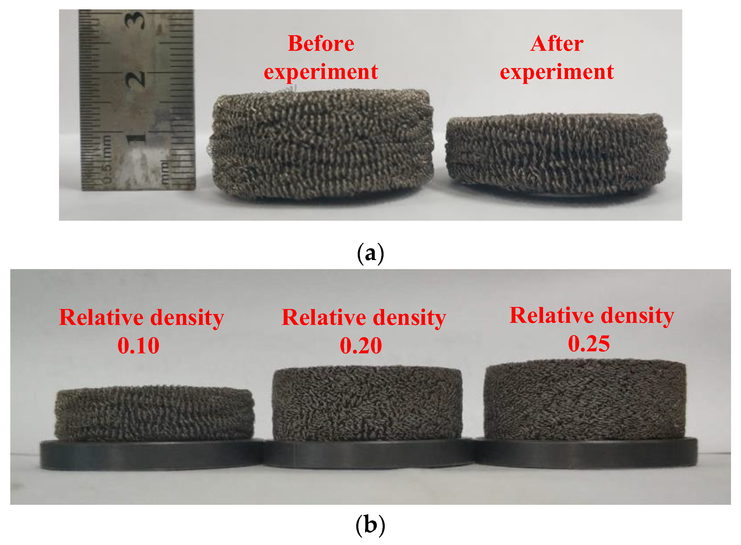 Preprints 86300 g011