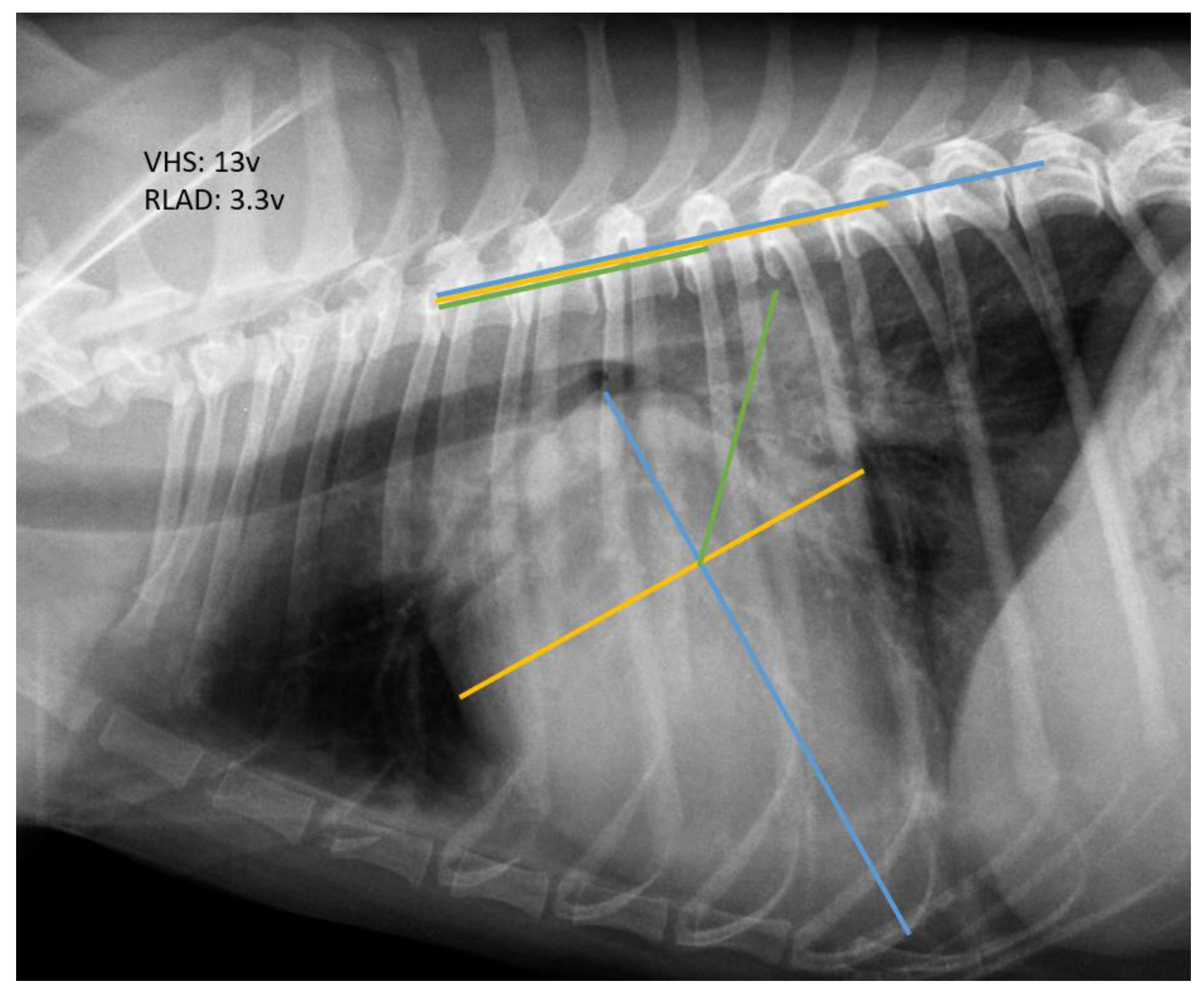 Preprints 159489 g001