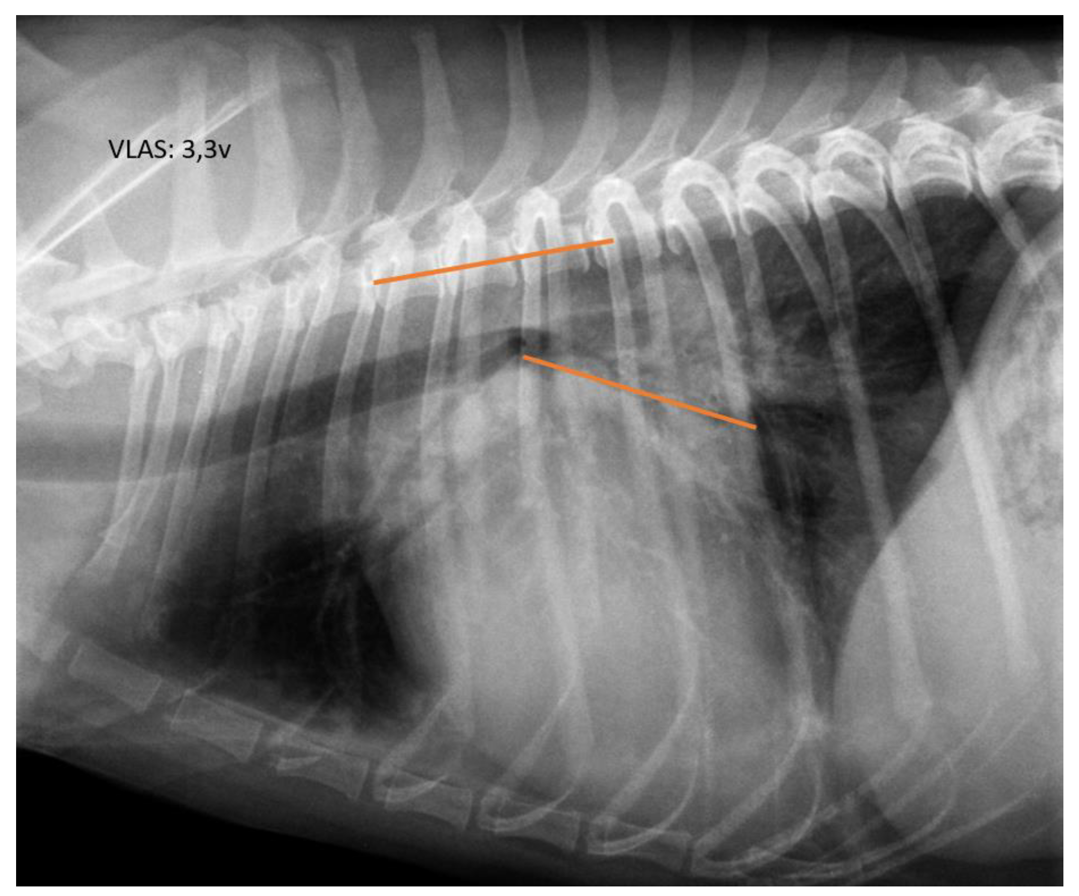 Preprints 159489 g002