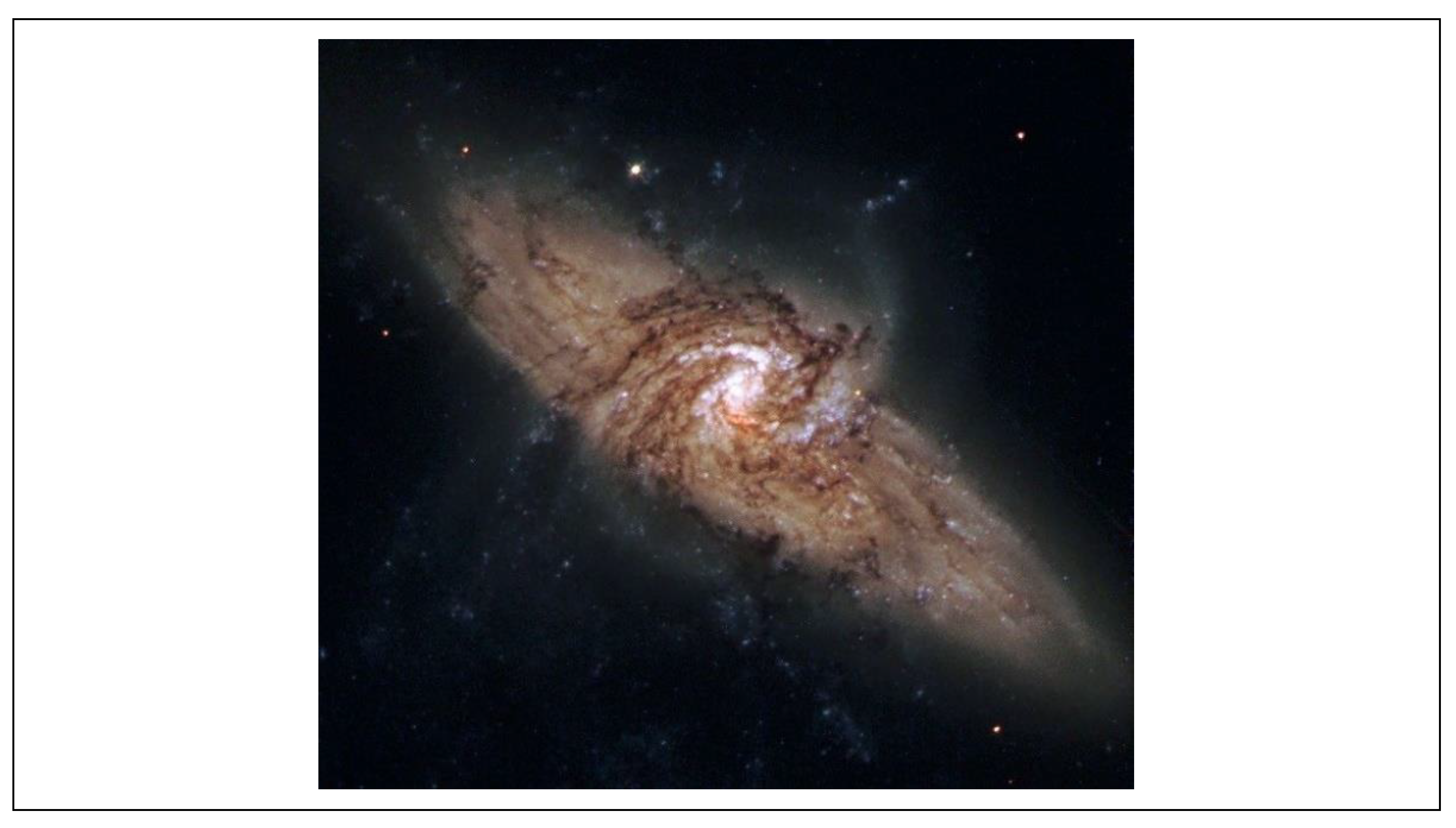 Preprints 196199 g004