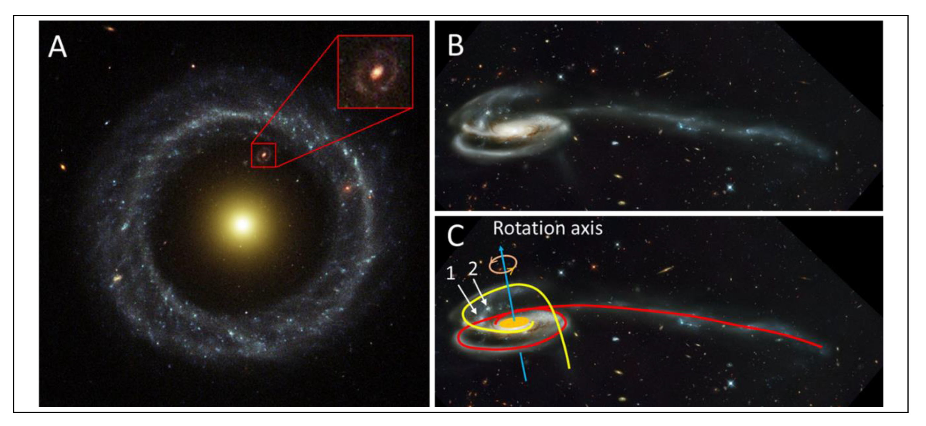 Preprints 196199 g005