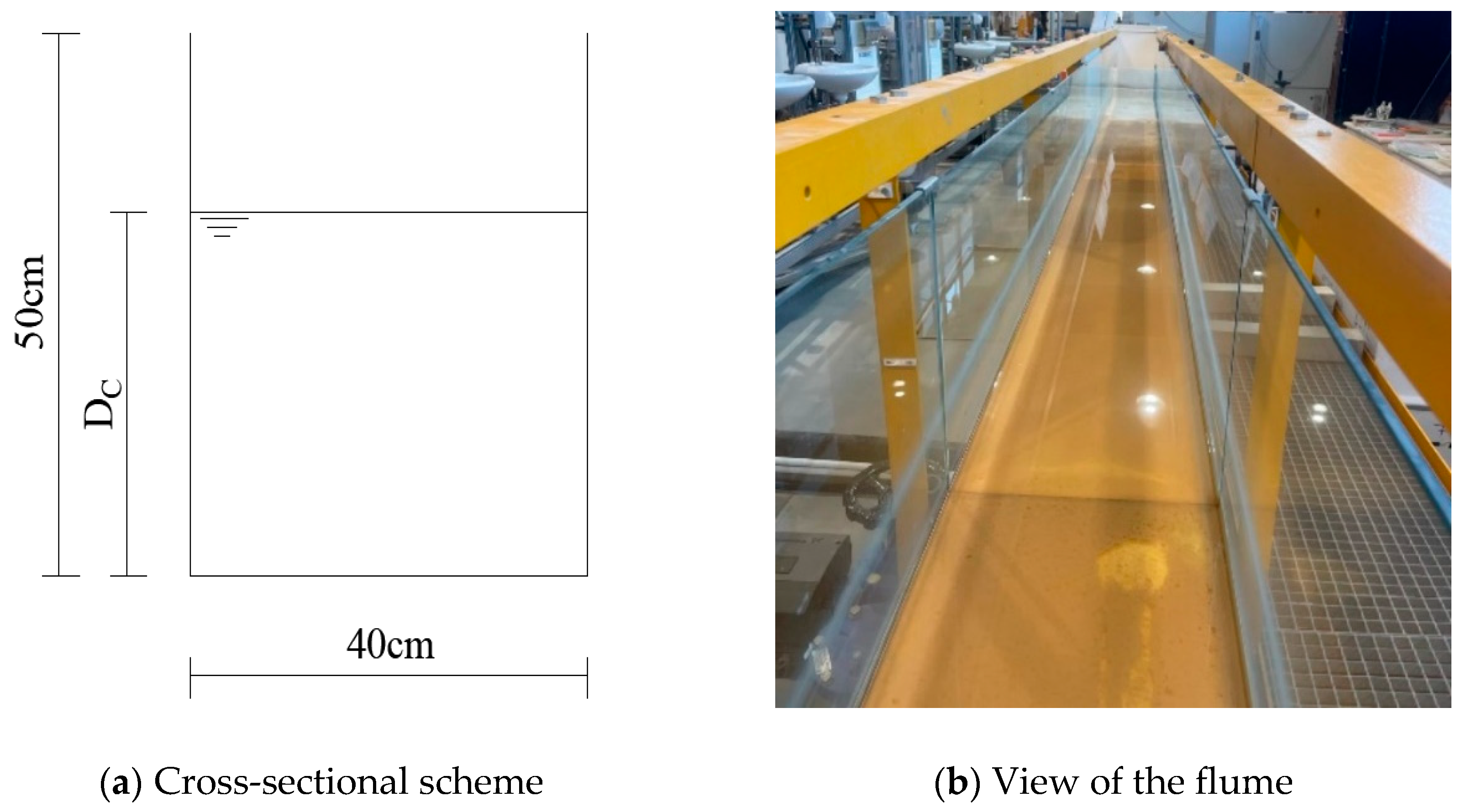 Preprints 161420 g003