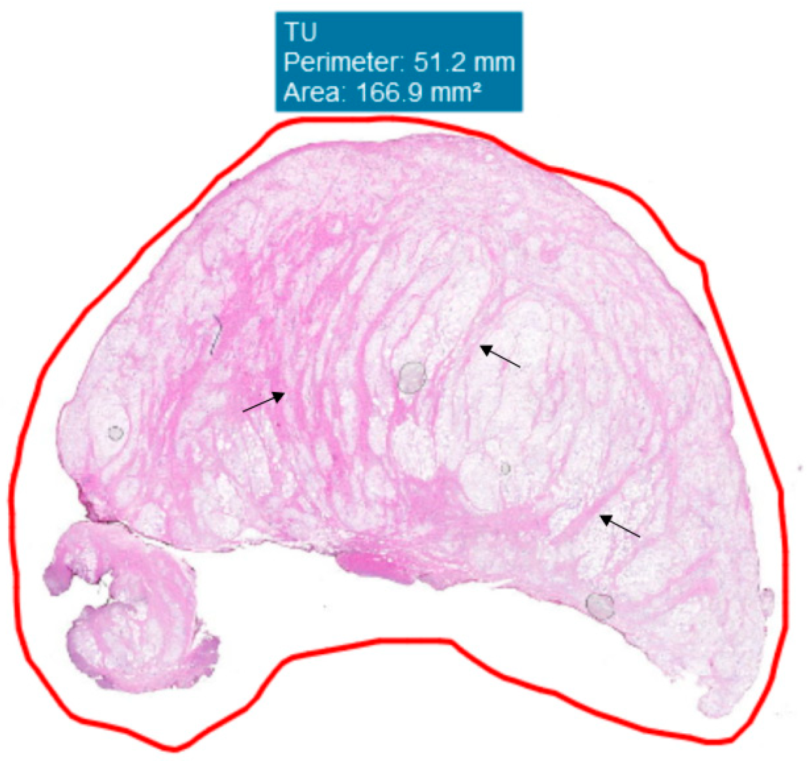 Preprints 201270 g001
