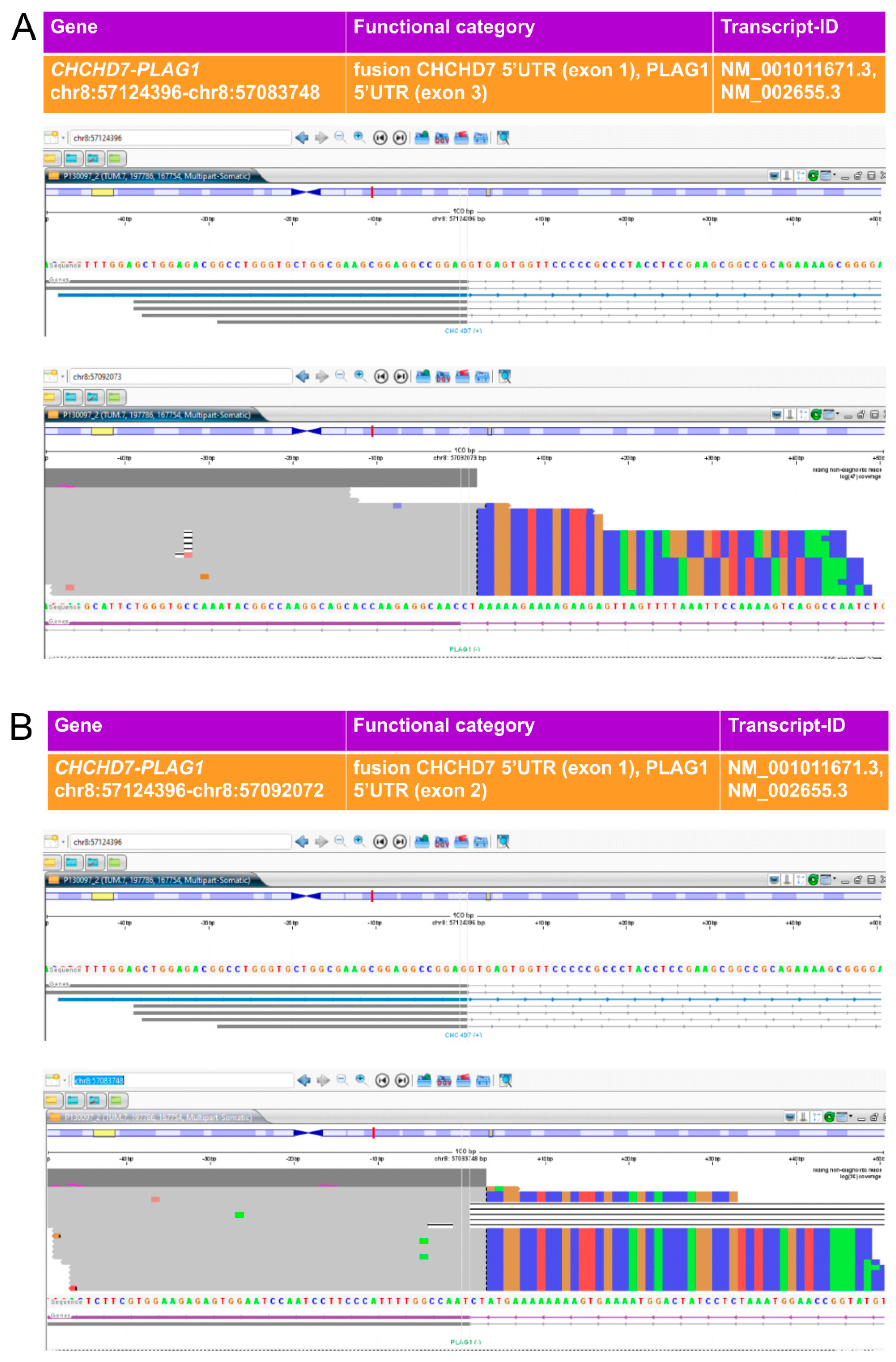 Preprints 201270 g003