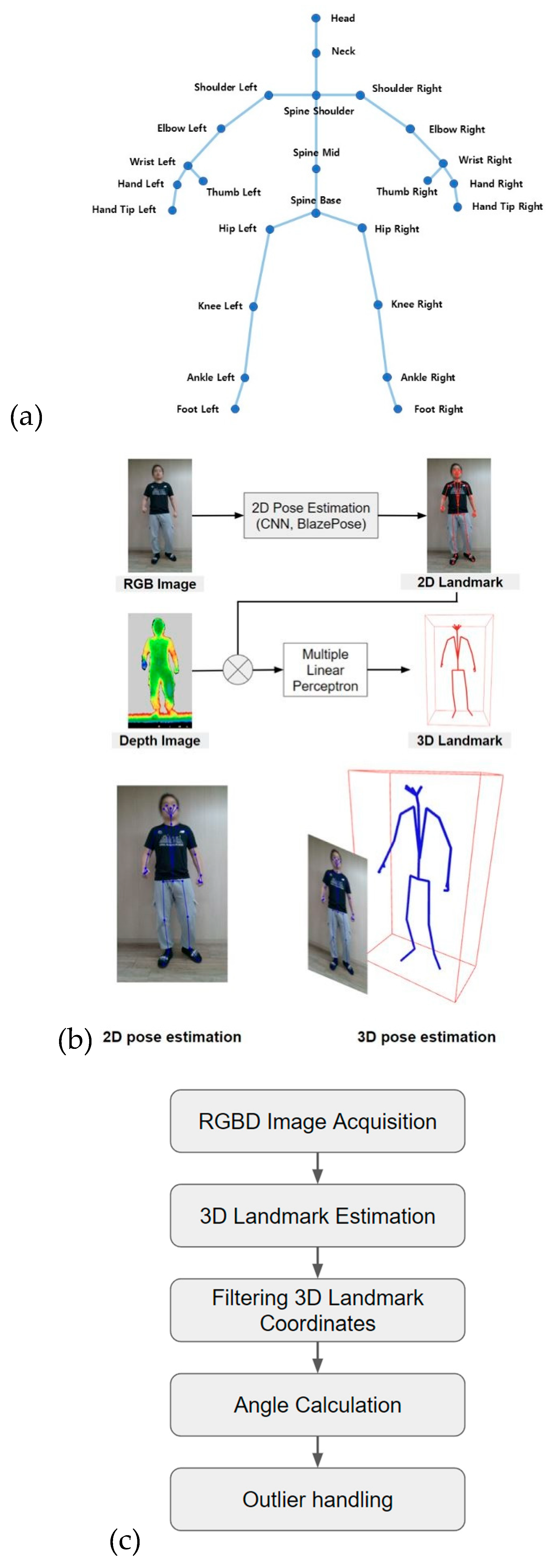 Preprints 140870 g002