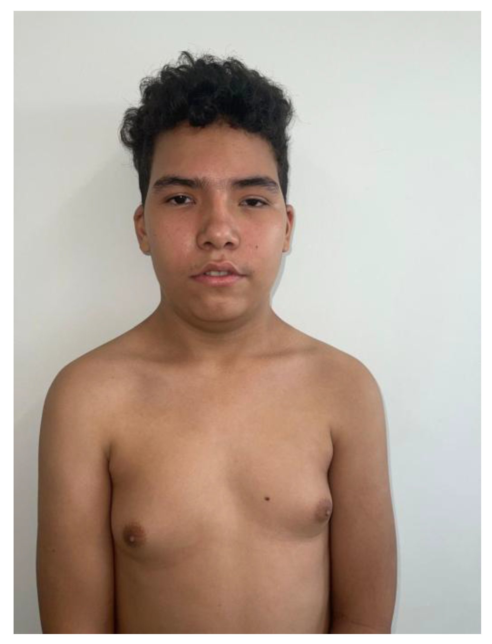 Preprints 179481 g001