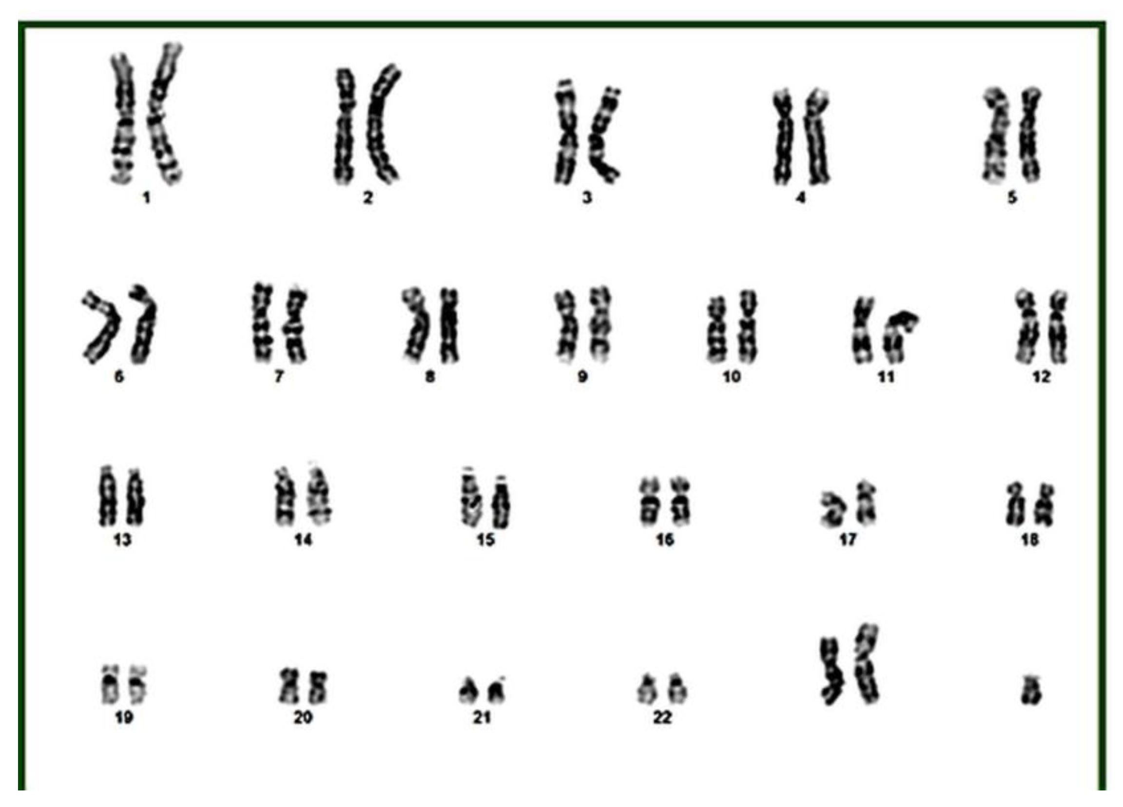 Preprints 179481 g002