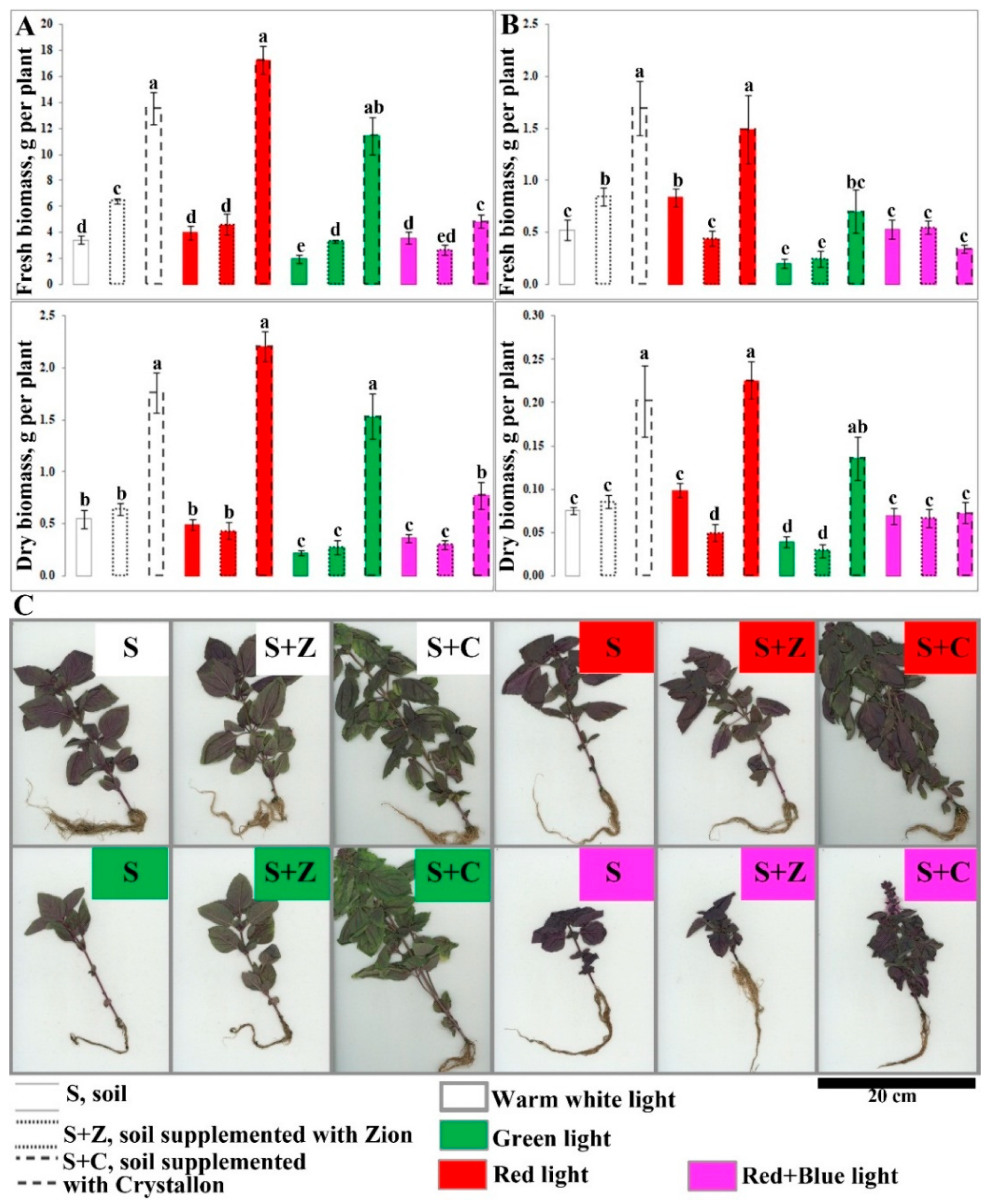Preprints 139439 g001