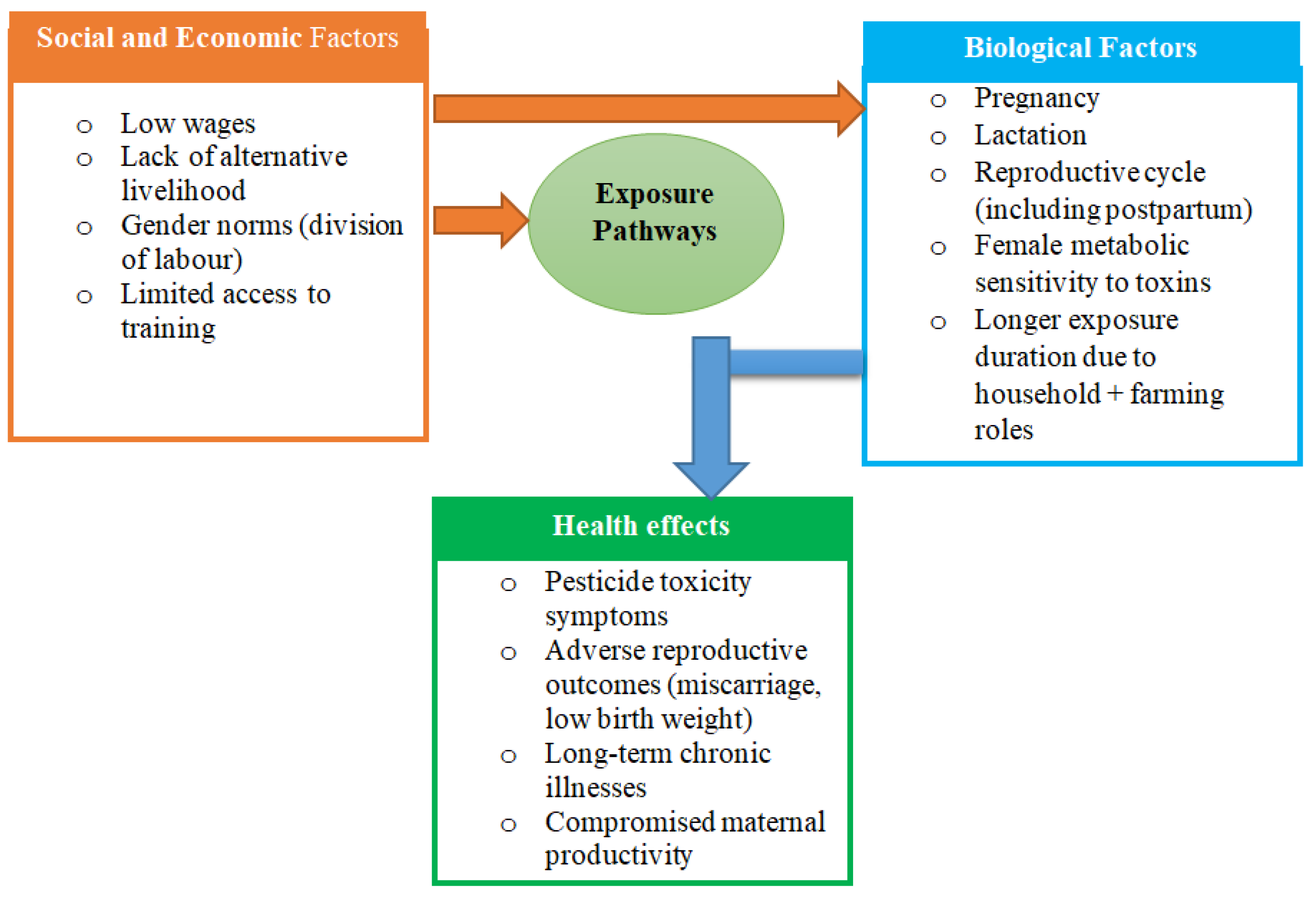 Preprints 174163 g001