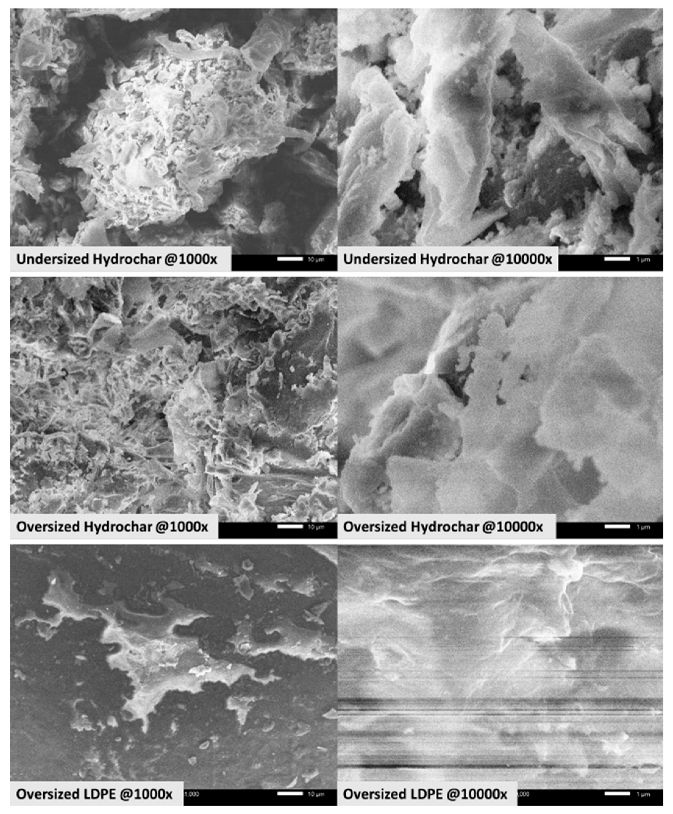 Preprints 201015 g003