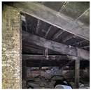 Preprints 186880 i003