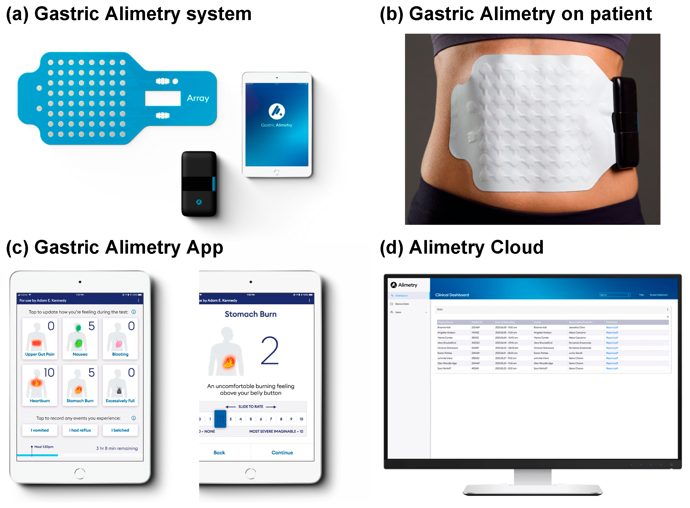 Preprints 80274 g001