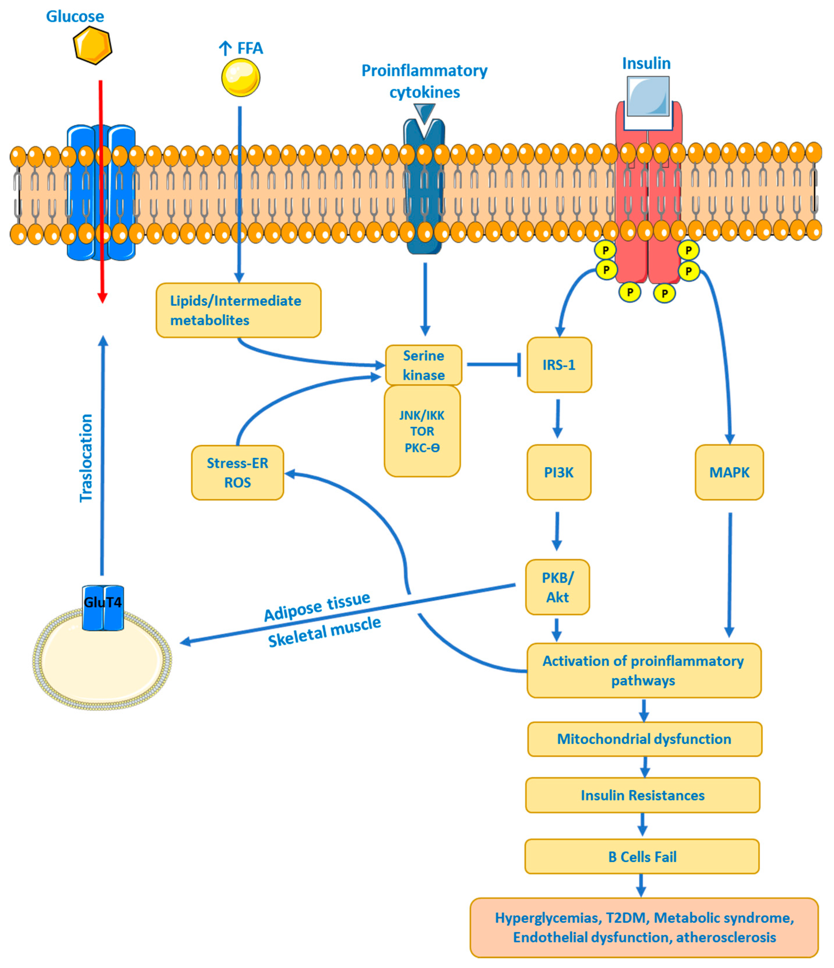 Preprints 81824 g003
