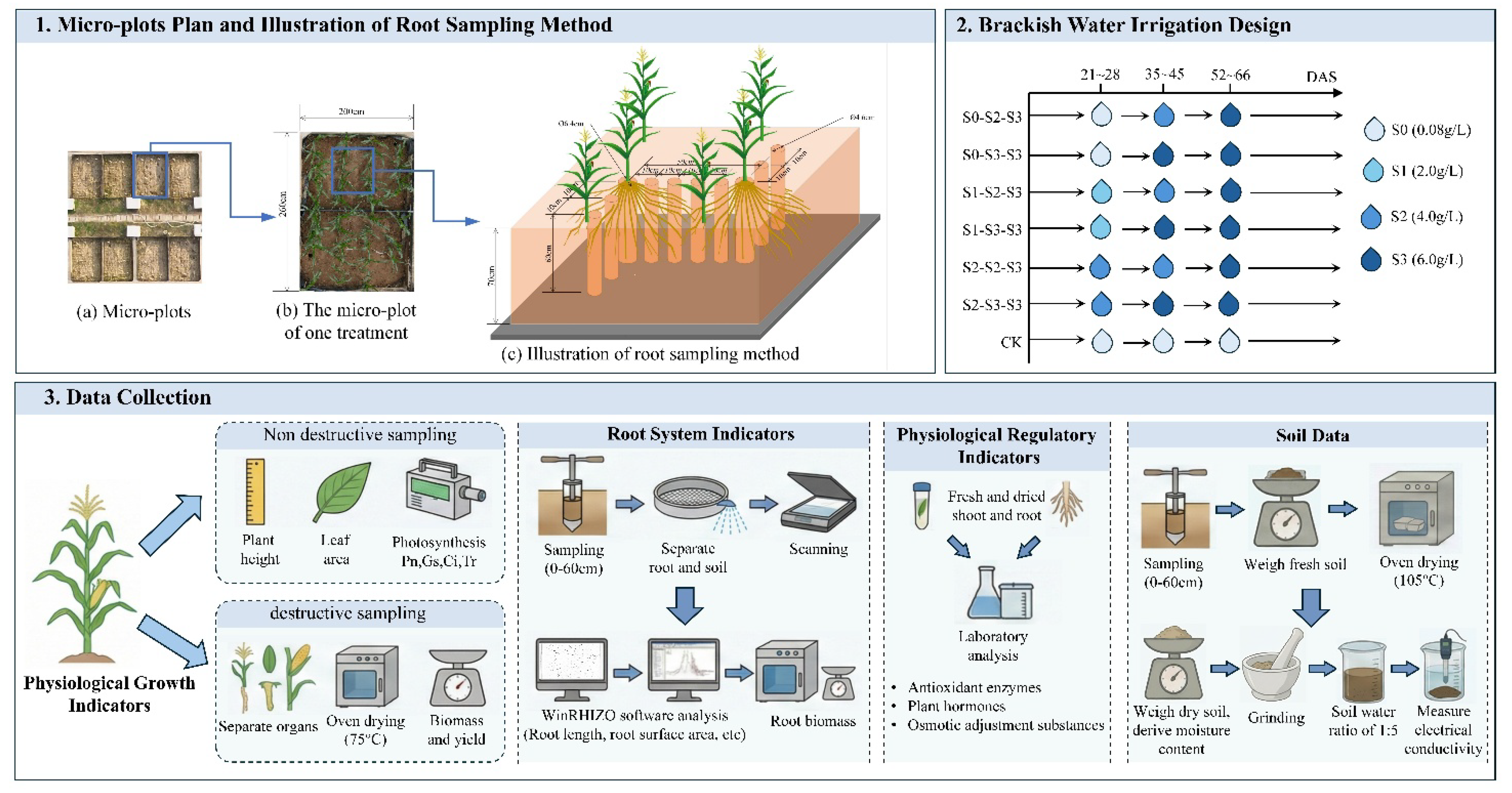Preprints 196049 g002