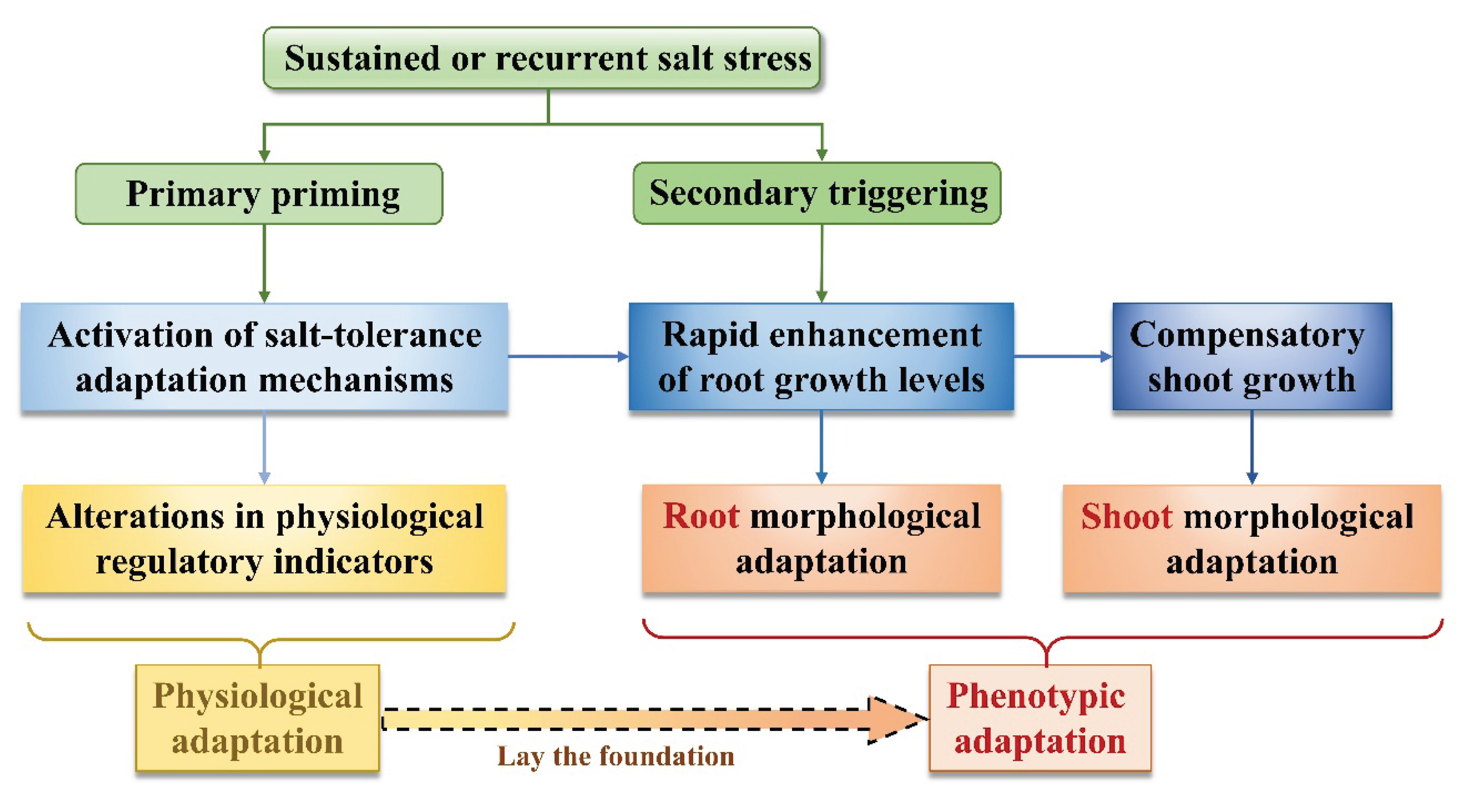 Preprints 196049 g010