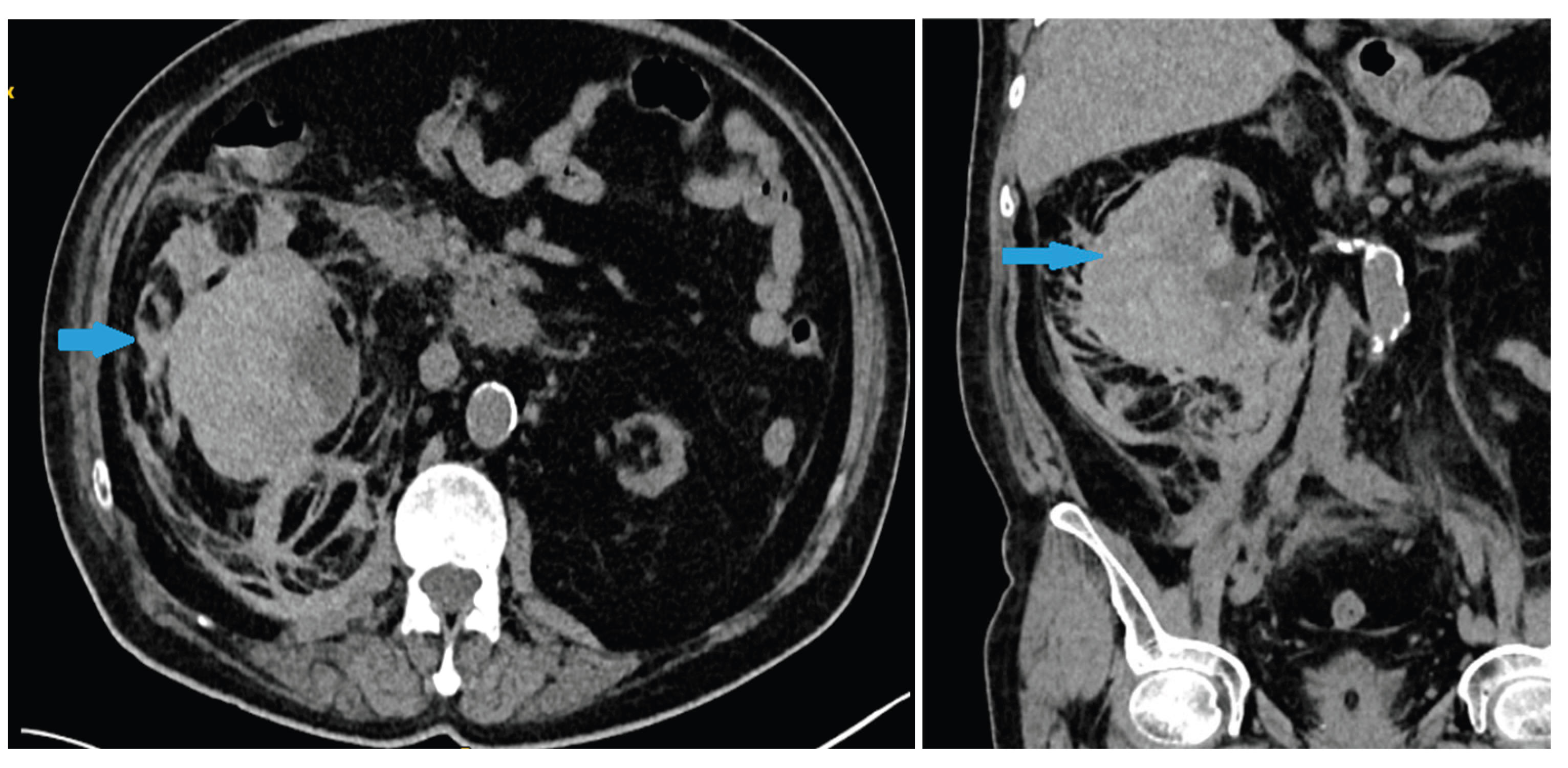 Preprints 162179 g002