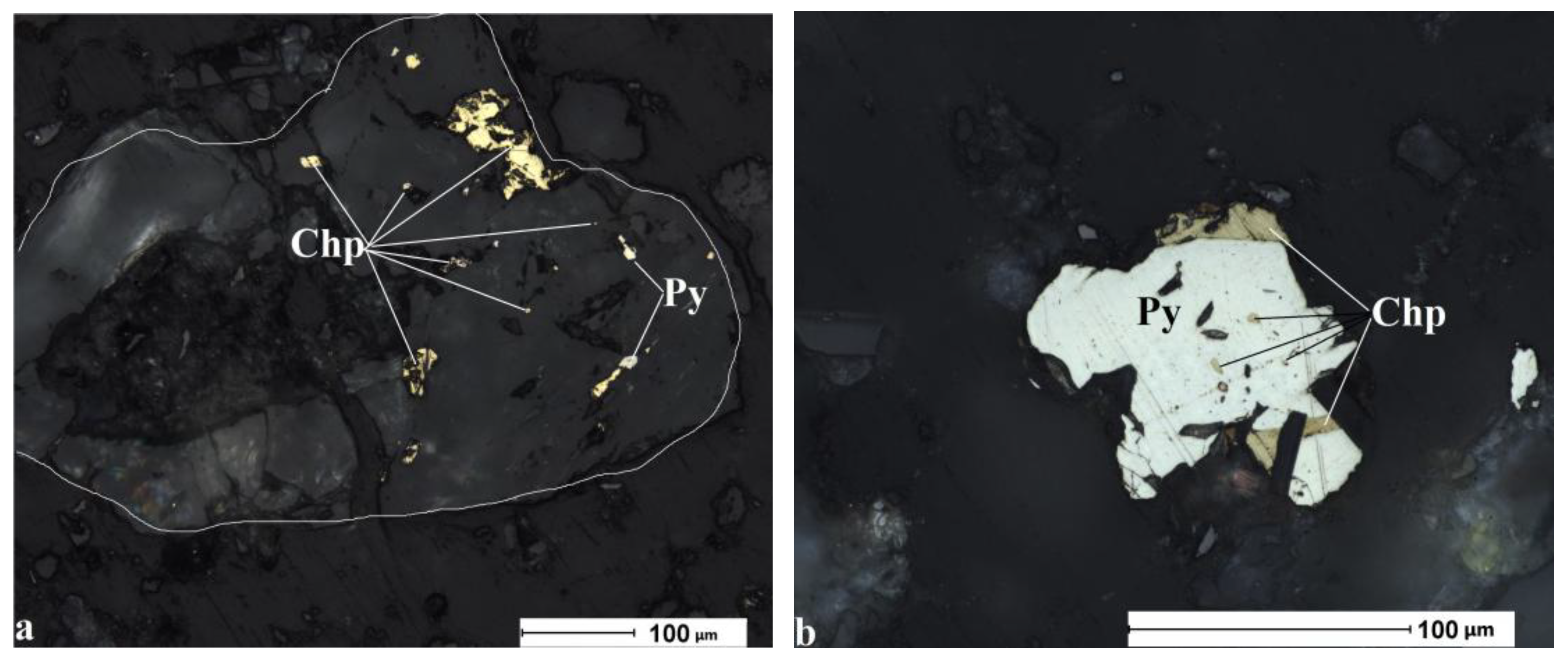 Preprints 230260 g003a