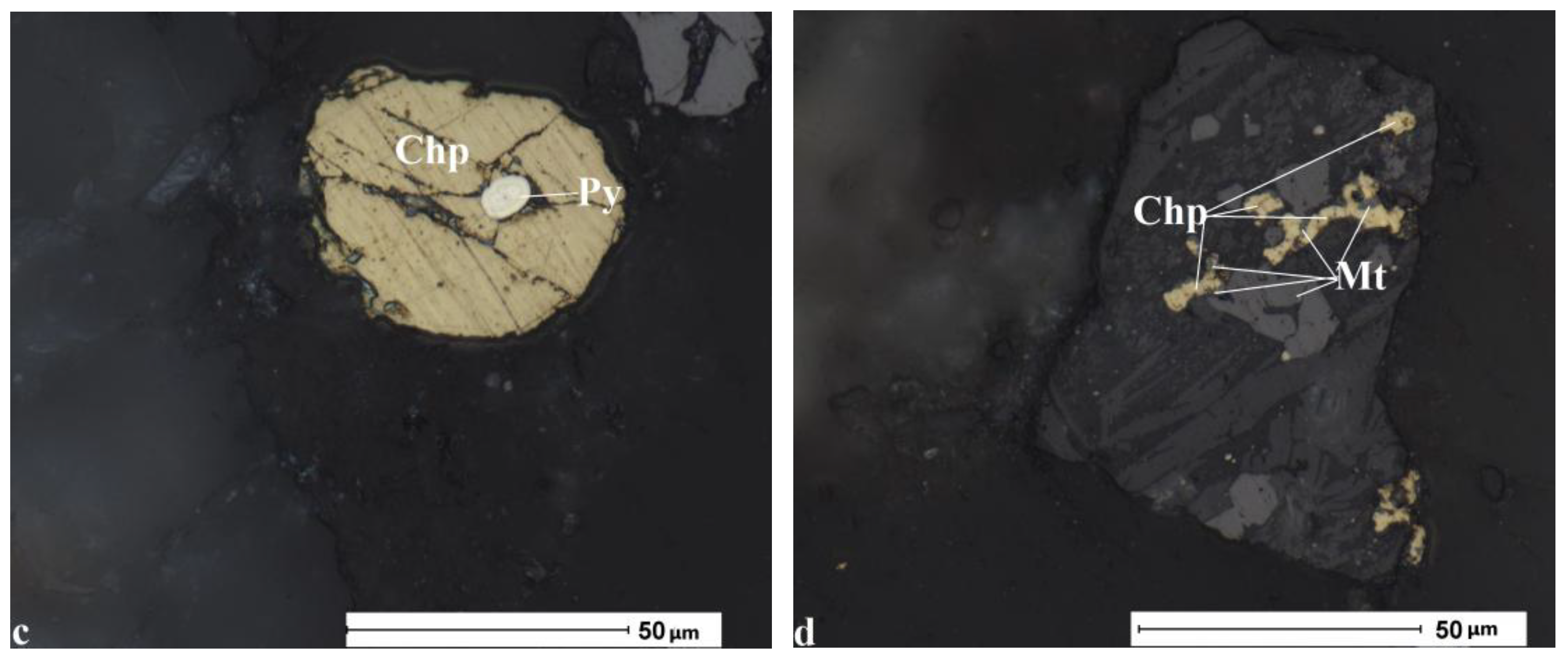 Preprints 230260 g003b