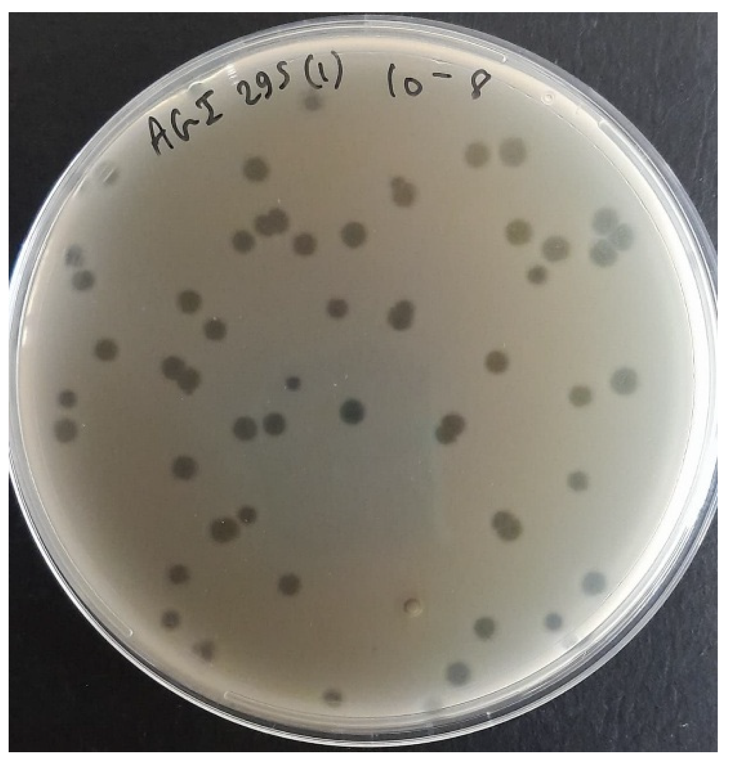 Preprints 181215 g001