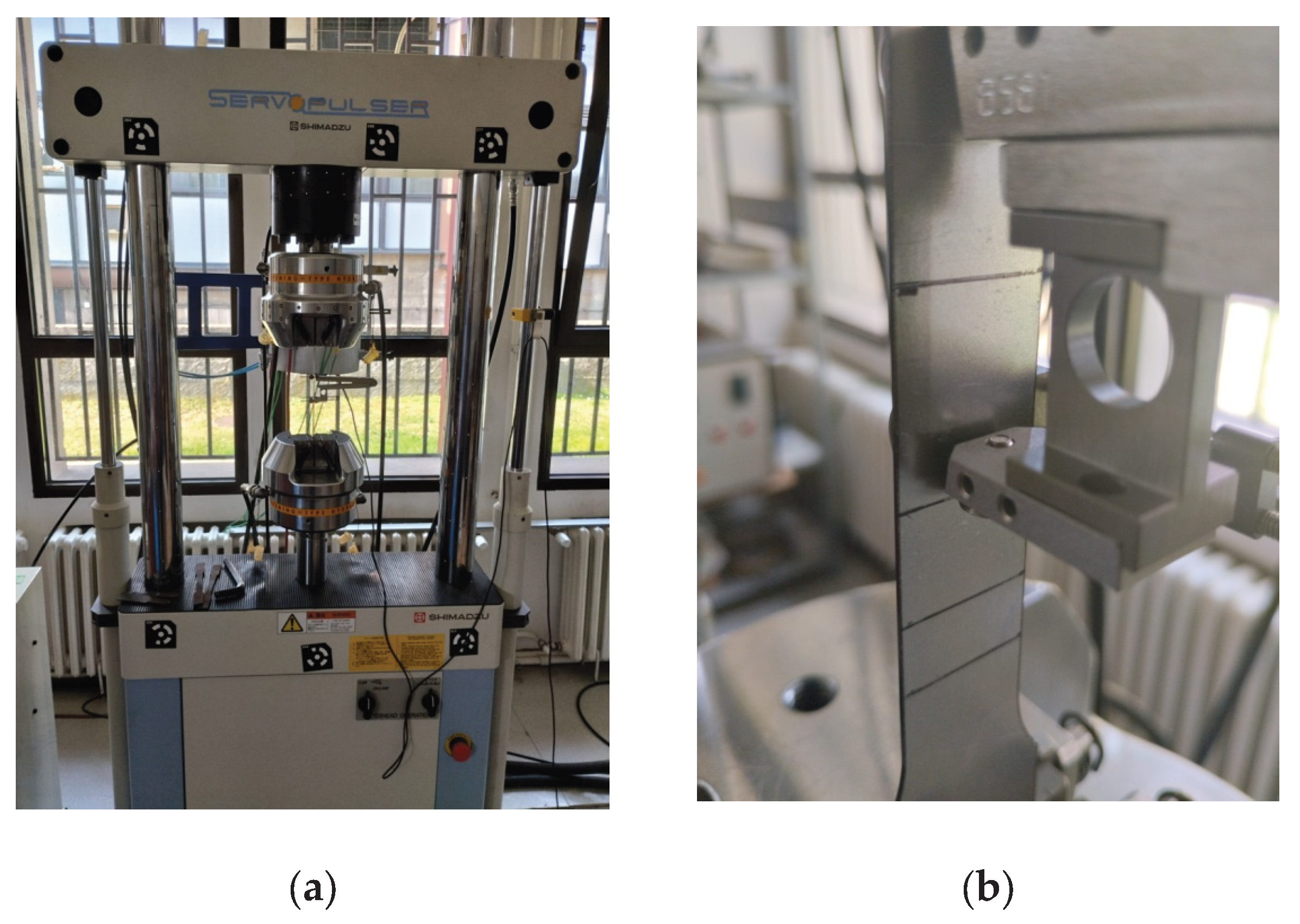Preprints 191047 g002
