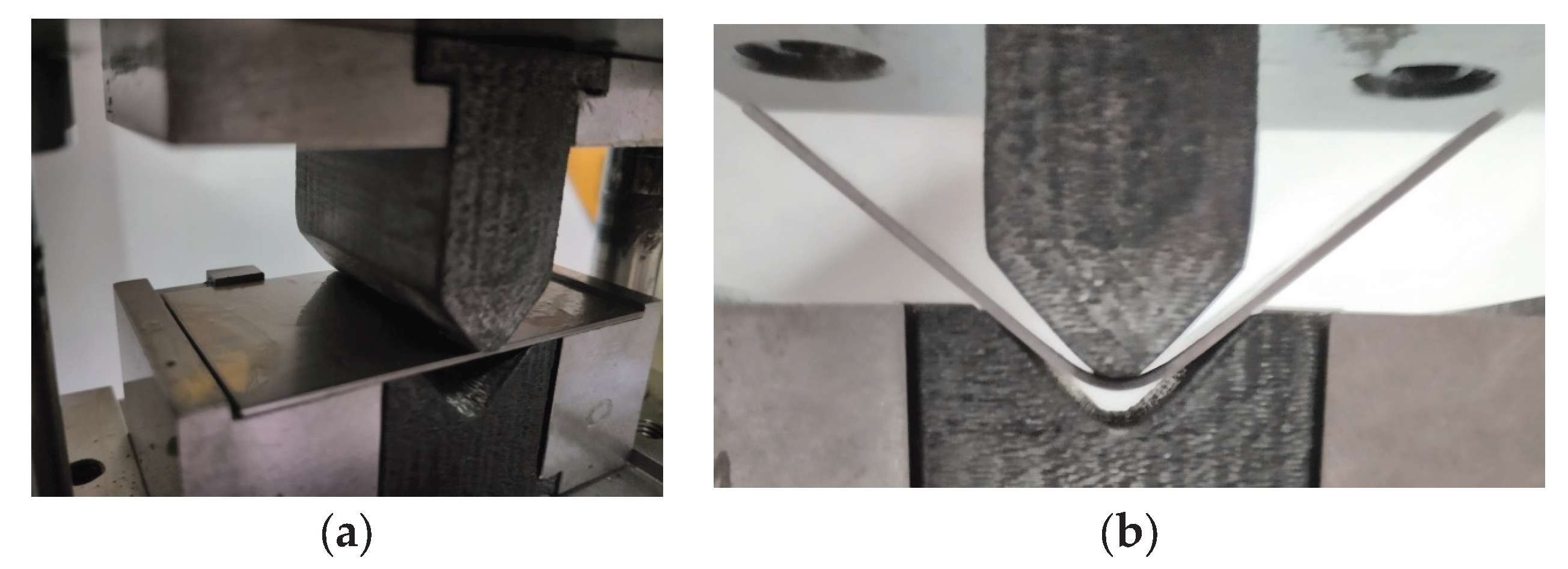 Preprints 191047 g024