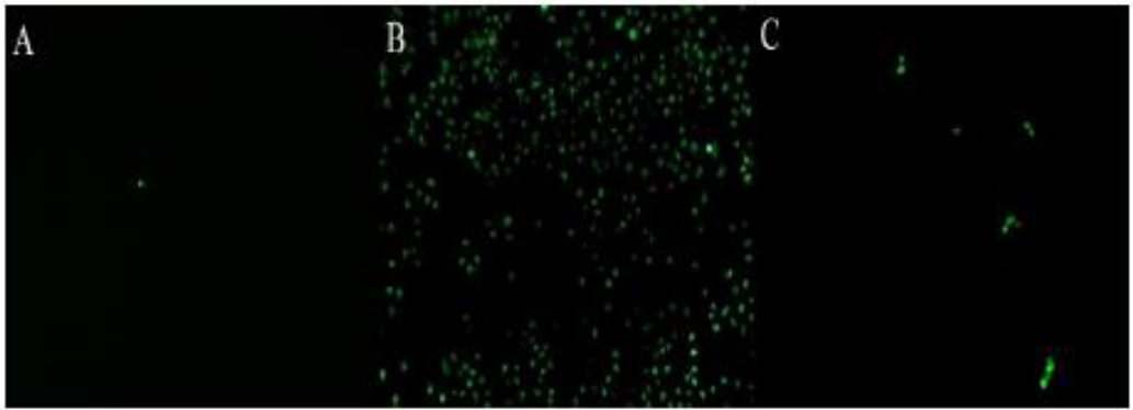 Preprints 232014 g002 Preprints 232014 g002