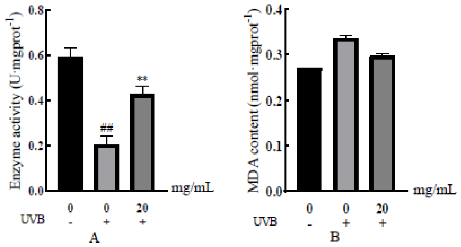 Preprints 232014 g003 Preprints 232014 g003