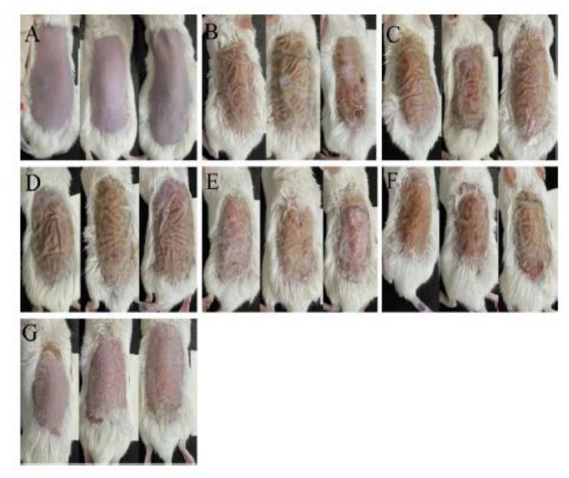 Preprints 232014 g005 Preprints 232014 g005
