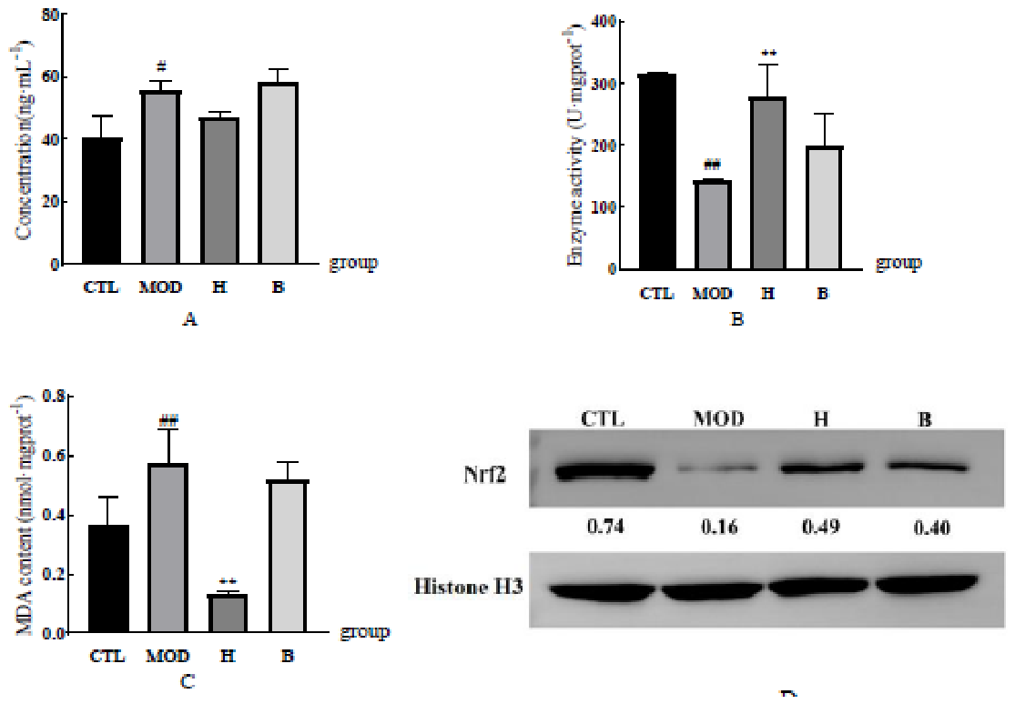 Preprints 232014 g009 Preprints 232014 g009