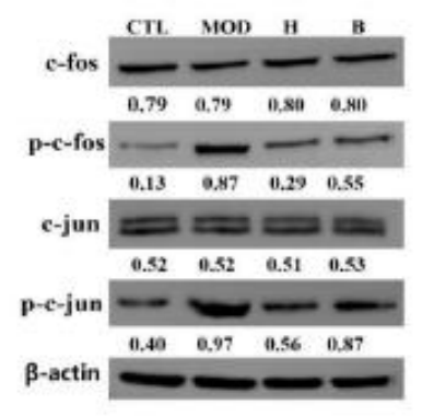 Preprints 232014 g010 Preprints 232014 g010